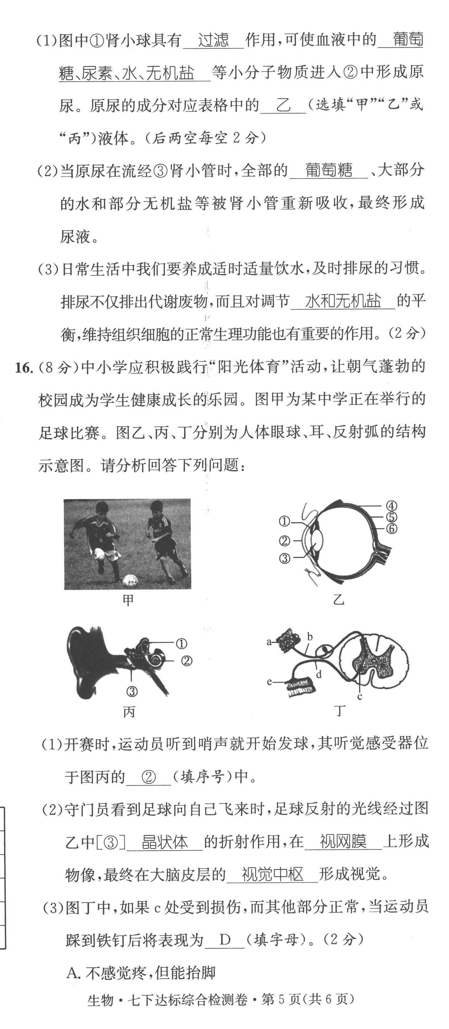 2023年鴻鵠志中考王生物貴陽(yáng)專(zhuān)版 第5頁(yè)