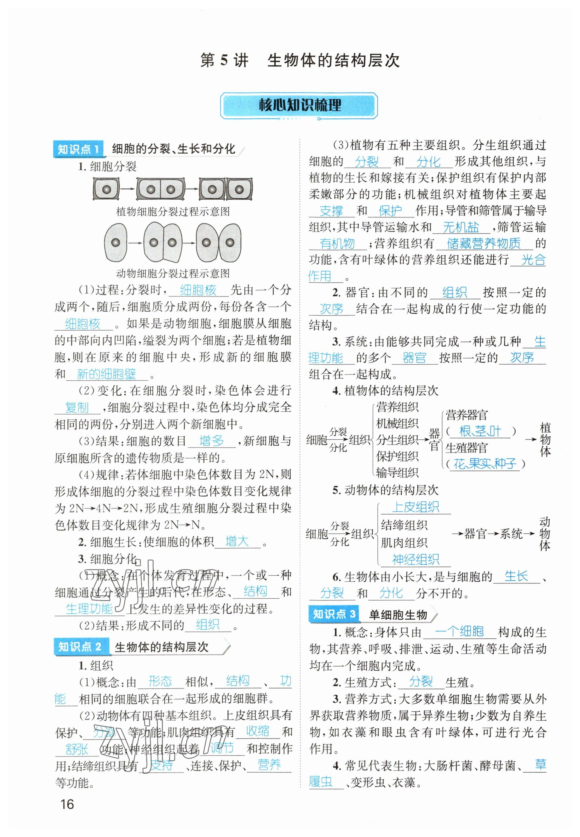 2023年鴻鵠志中考王生物貴陽專版 參考答案第16頁