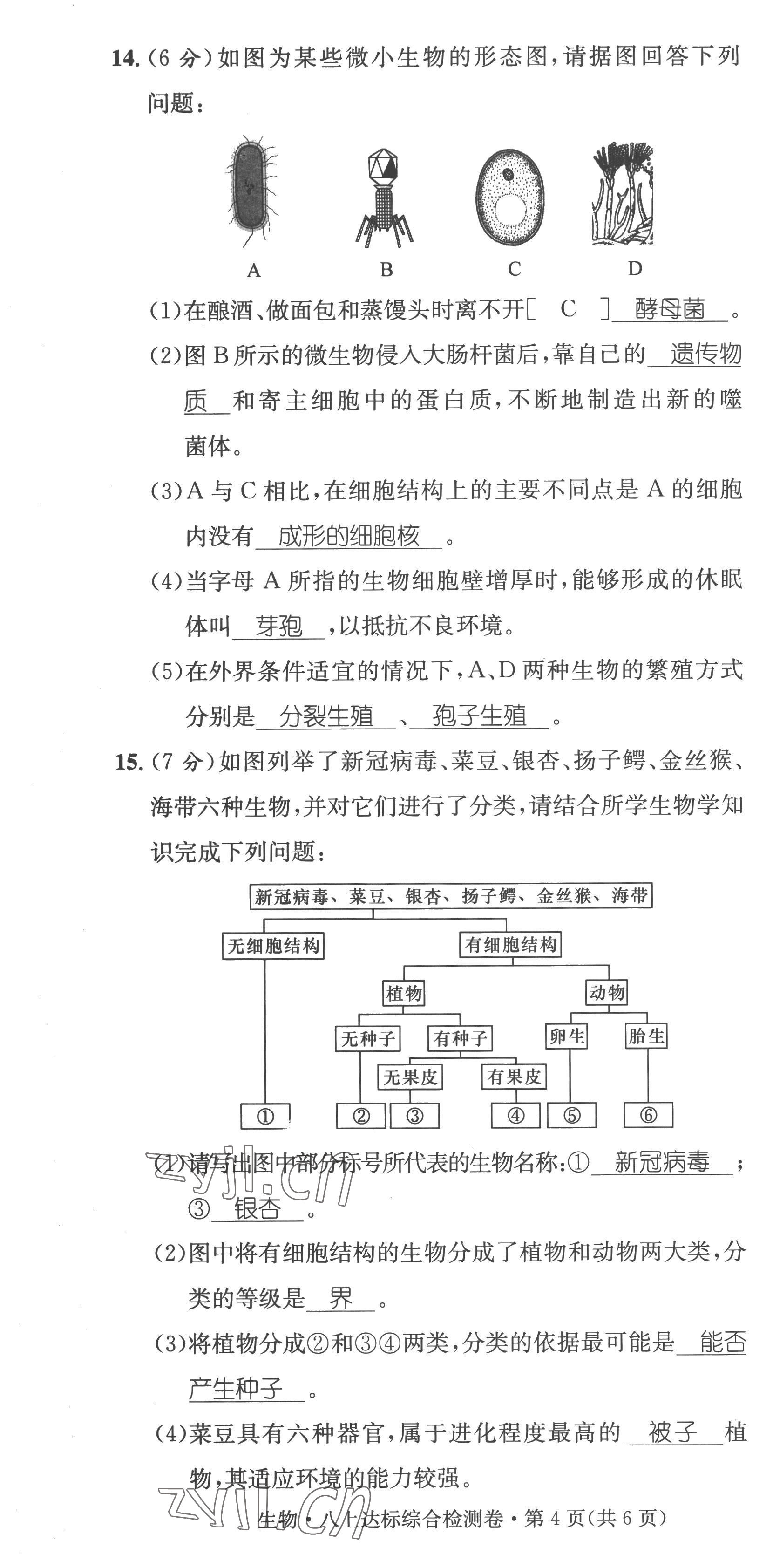 2023年鴻鵠志中考王生物貴陽專版 第22頁