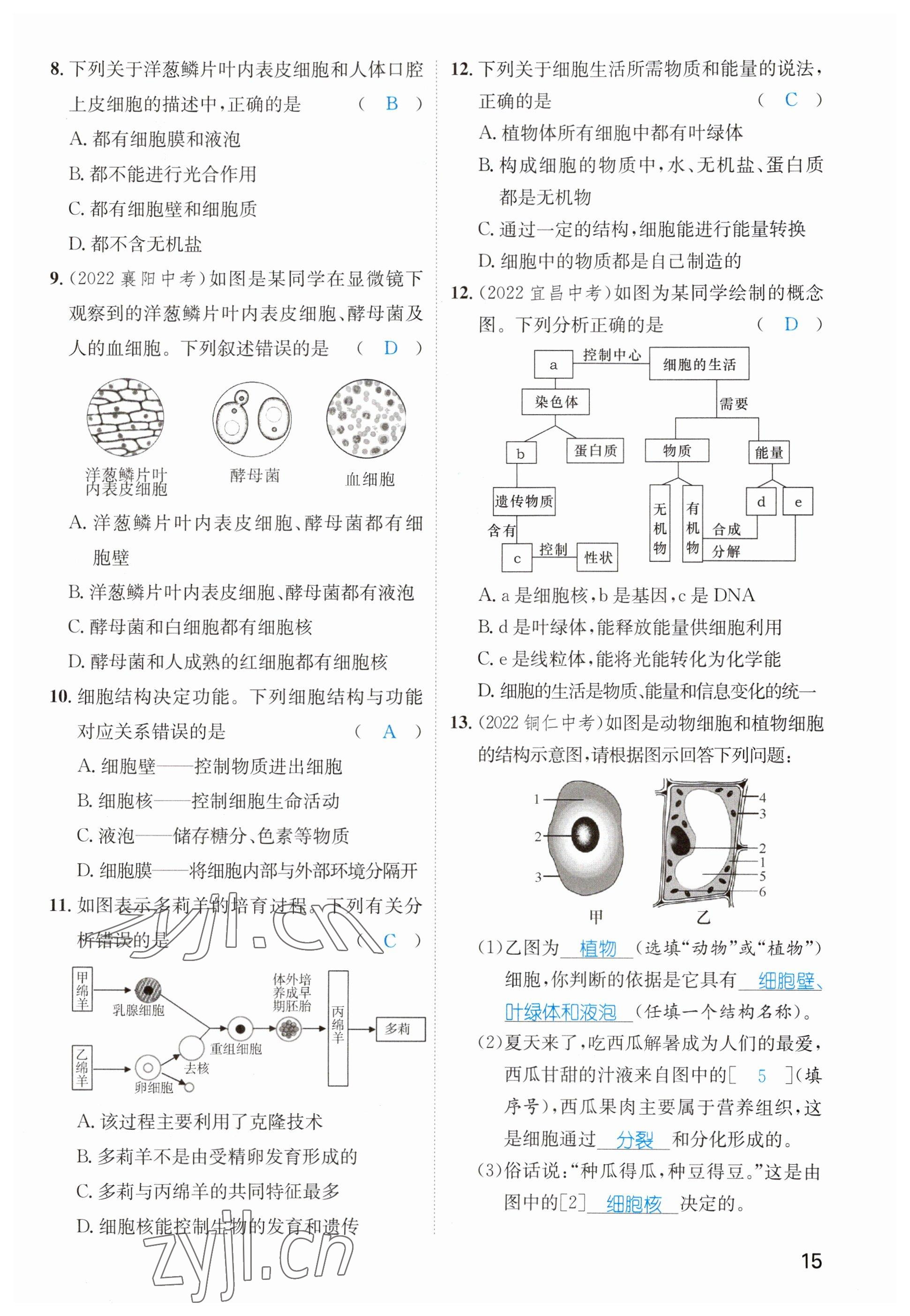 2023年鴻鵠志中考王生物貴陽專版 參考答案第15頁