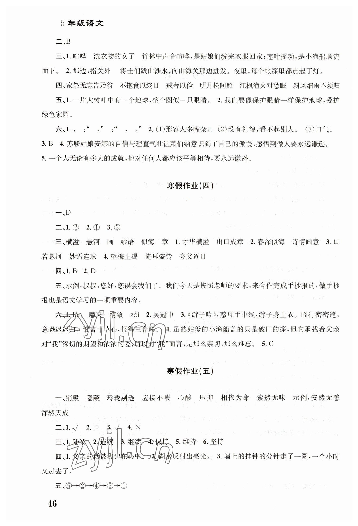 2023年寒假作业培优衔接南京大学出版社五年级语文 第2页