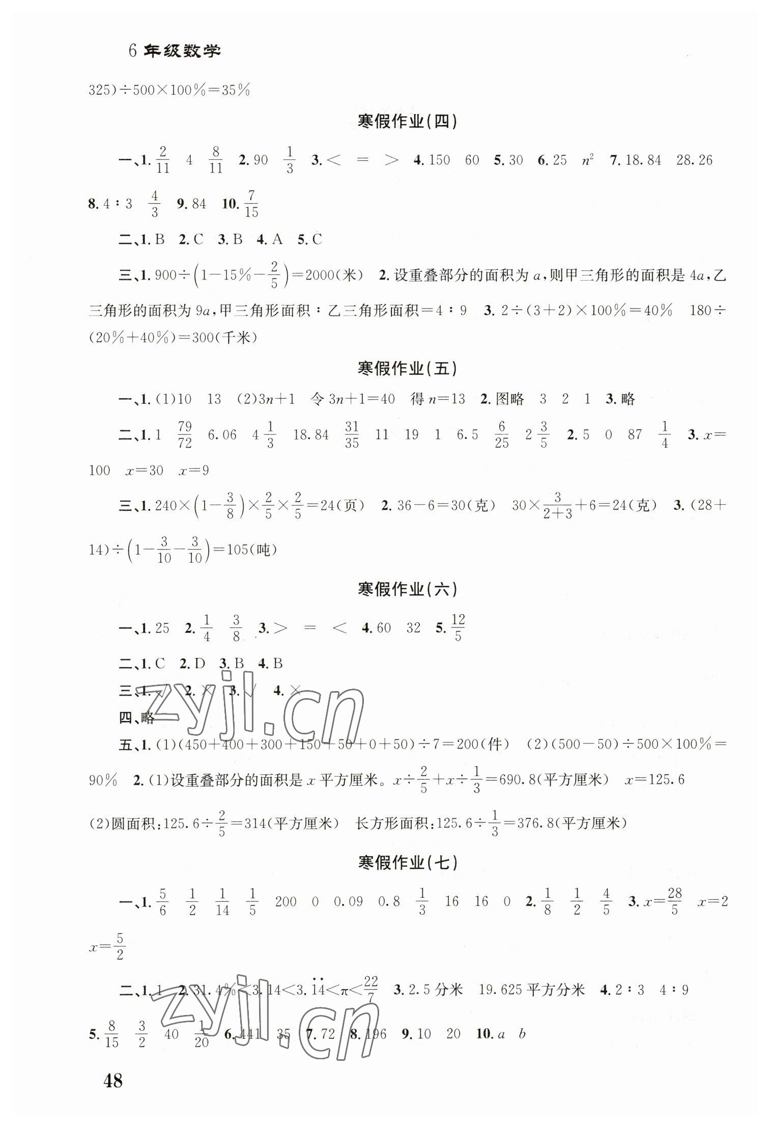 2023年寒假作业培优衔接南京大学出版社六年级数学 第2页