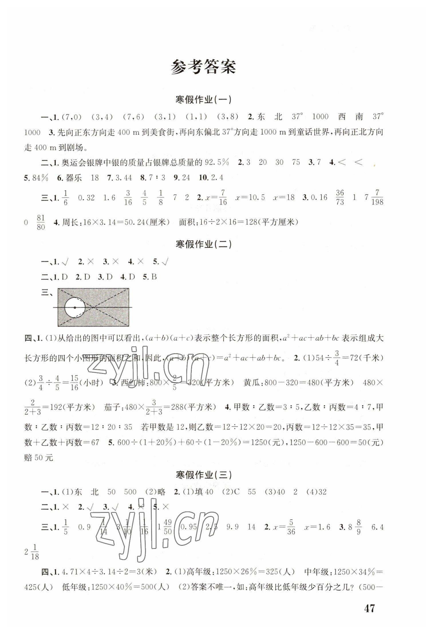 2023年寒假作業(yè)培優(yōu)銜接南京大學(xué)出版社六年級(jí)數(shù)學(xué) 第1頁(yè)