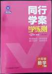 2023年同行学案六年级数学下册鲁教版