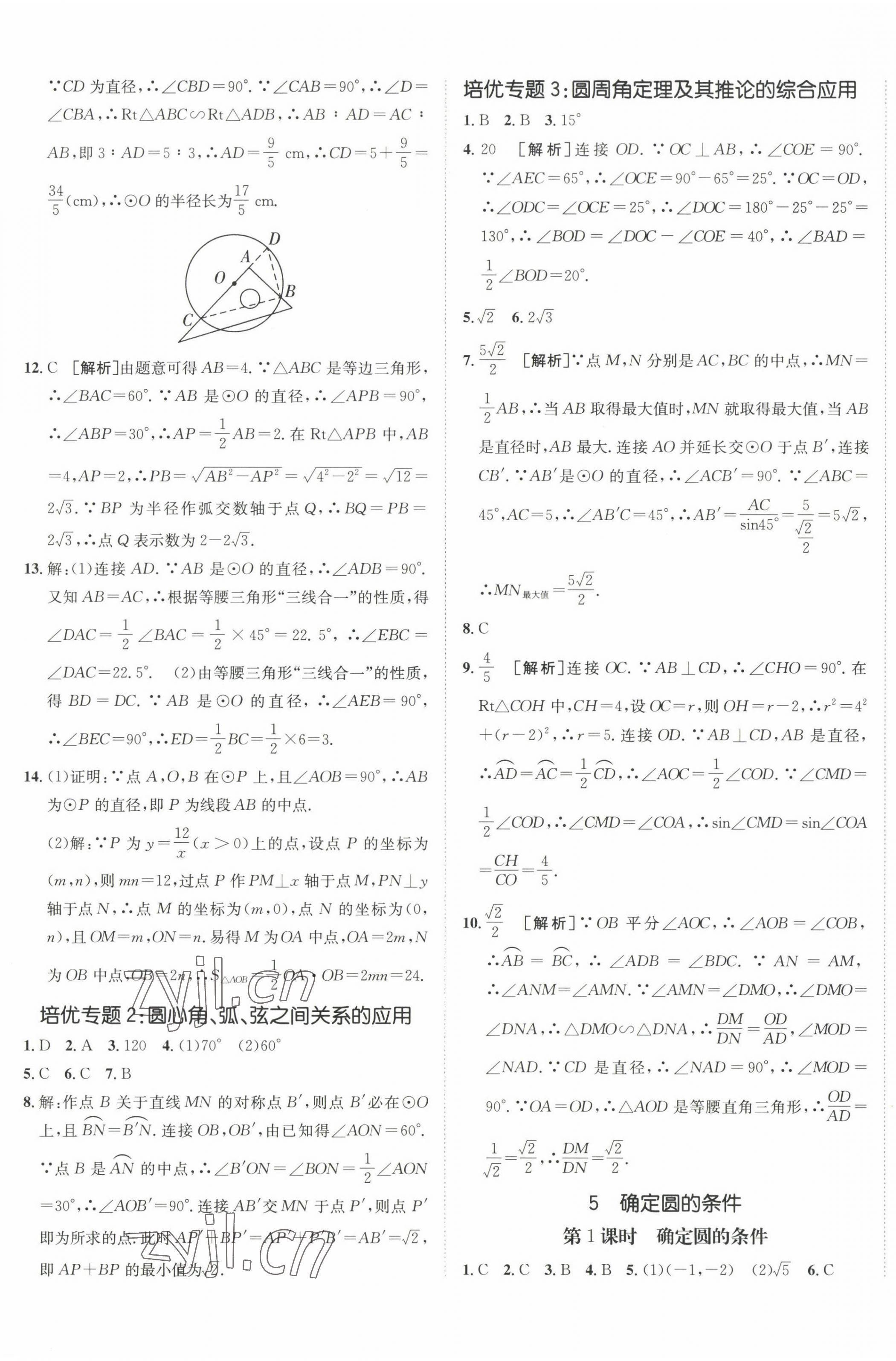 2023年同行学案学练测九年级数学下册鲁教版 第5页