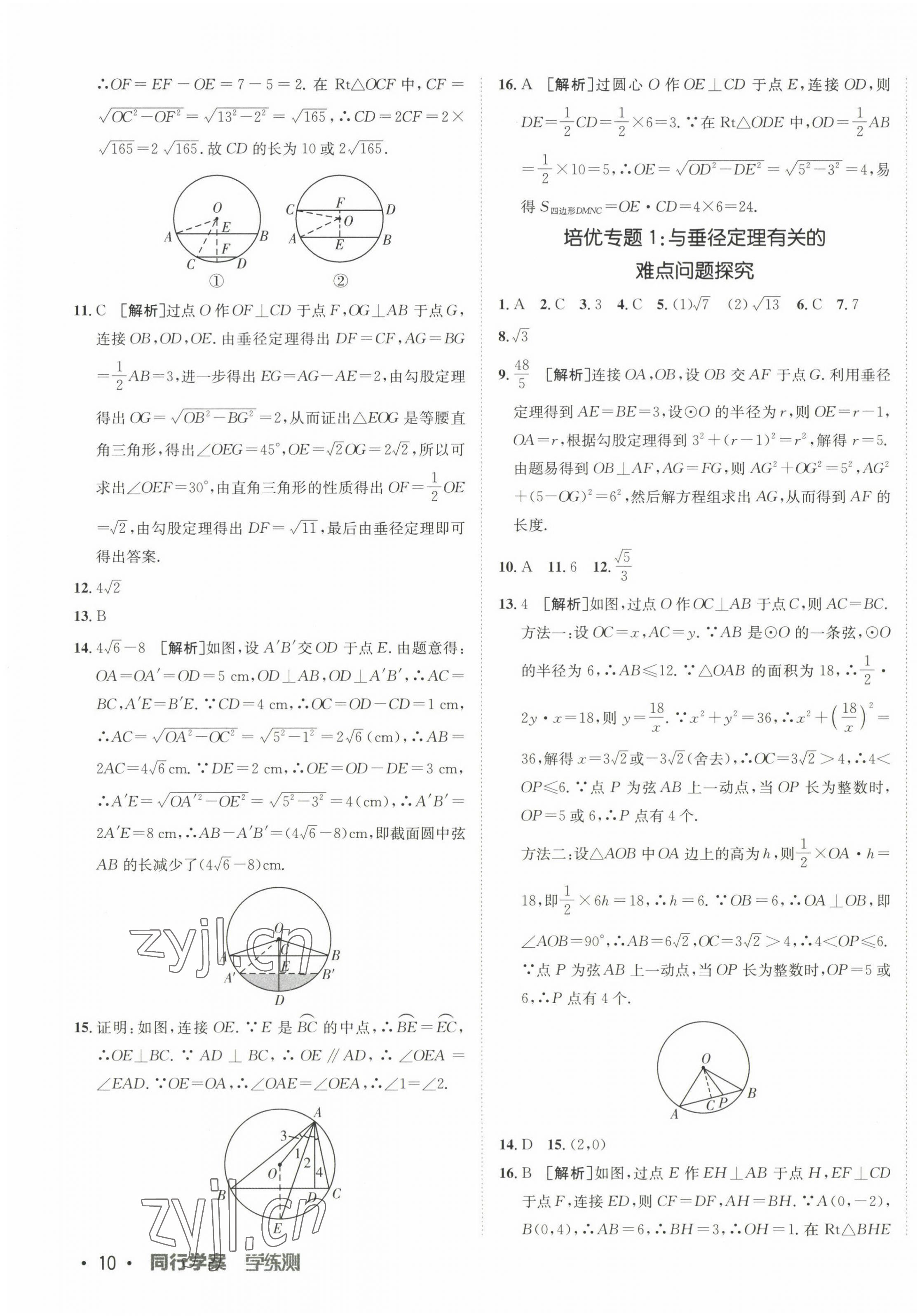 2023年同行学案学练测九年级数学下册鲁教版 第3页