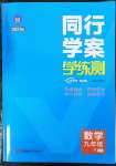 2023年同行學案學練測九年級數學下冊魯教版