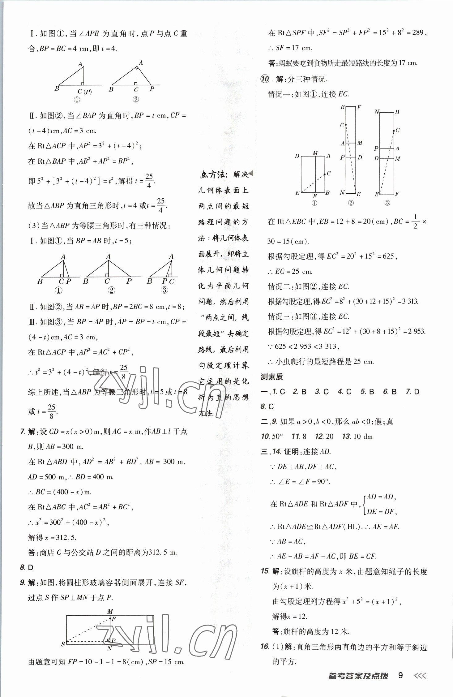 2023年綜合應(yīng)用創(chuàng)新題典中點(diǎn)八年級數(shù)學(xué)下冊北師大版 參考答案第9頁