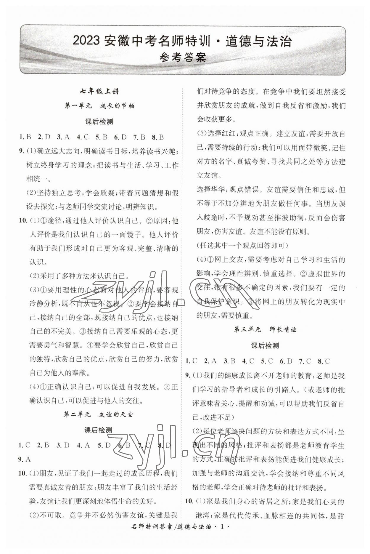 2023年名師特訓道德與法治安徽專版 第1頁