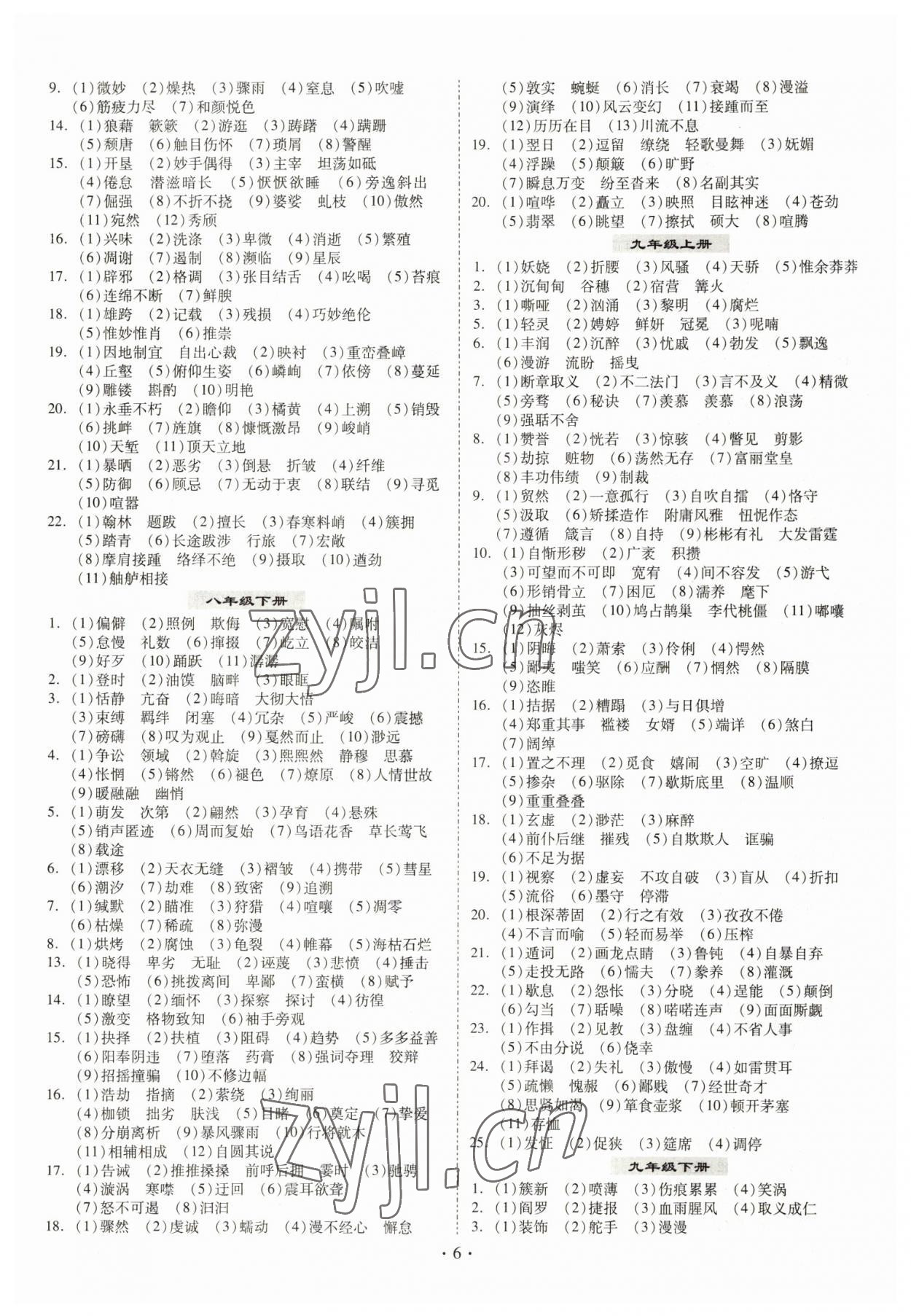 2023年金牌中考總復(fù)習(xí)語文&nbsp;第6頁