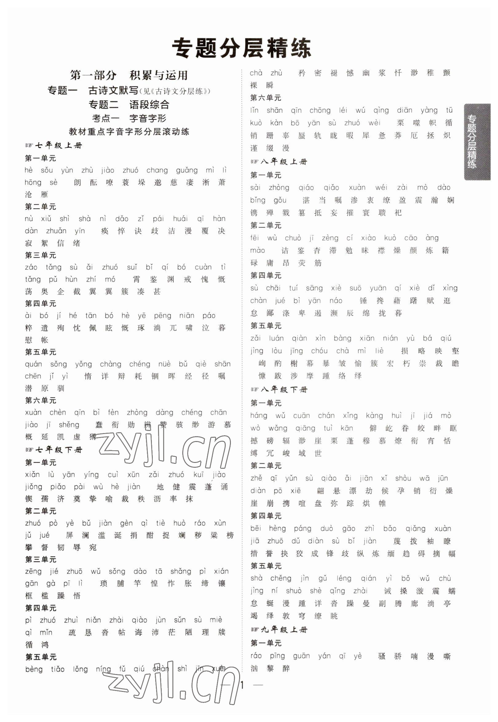 2023年陽(yáng)光同學(xué)分層新中考語(yǔ)文福建專版 參考答案第1頁(yè)