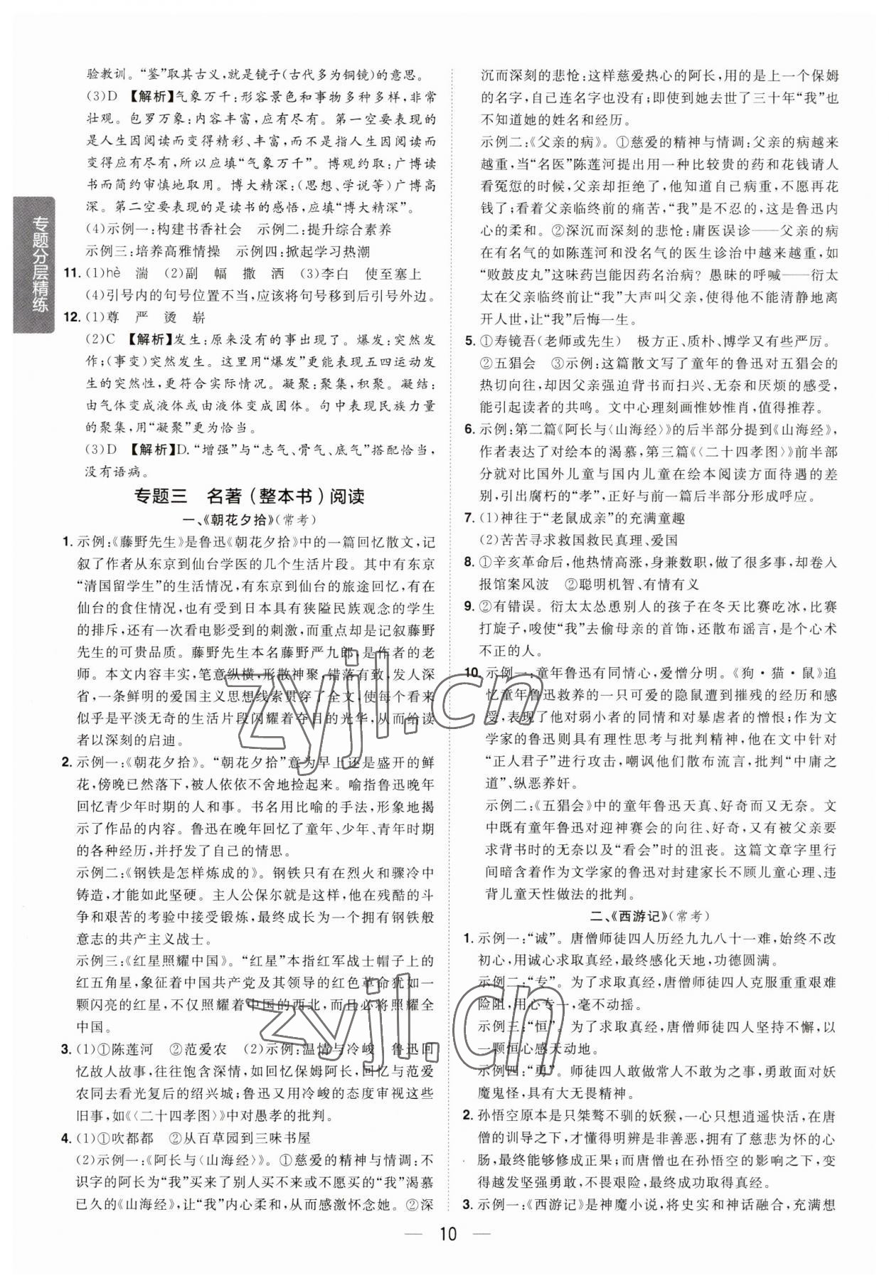 2023年陽光同學(xué)分層新中考語文福建專版 參考答案第10頁