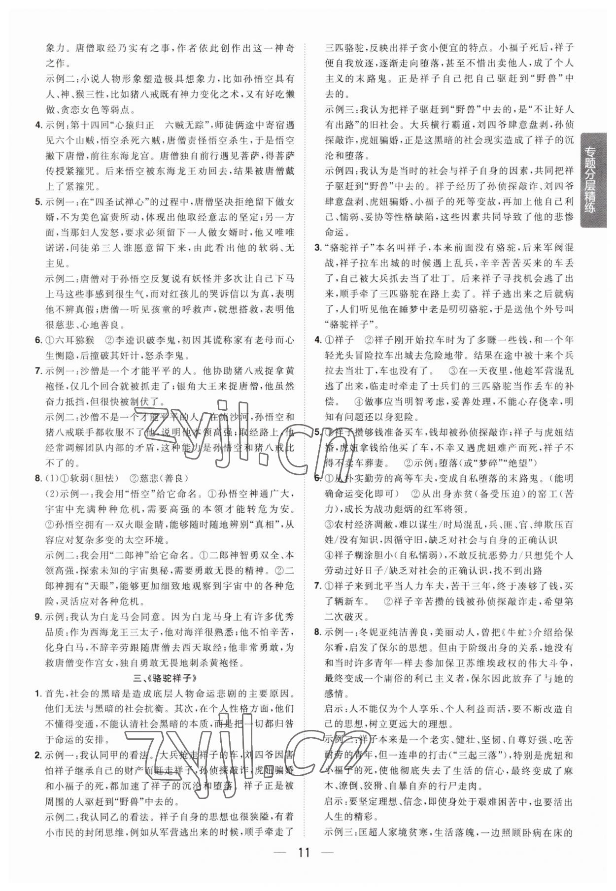 2023年陽光同學(xué)分層新中考語文福建專版 參考答案第11頁