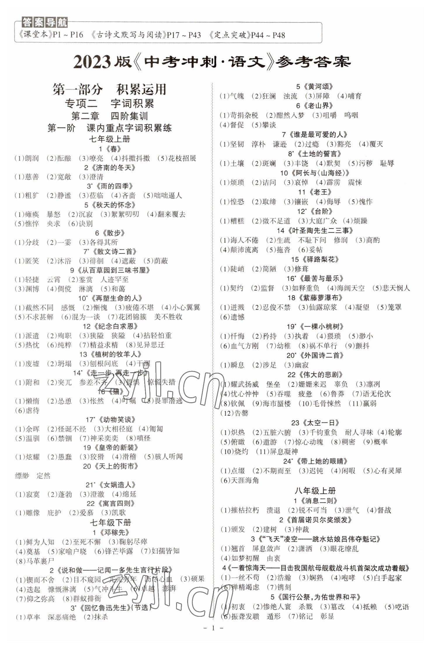 2023年中考冲刺语文广东专版 第1页