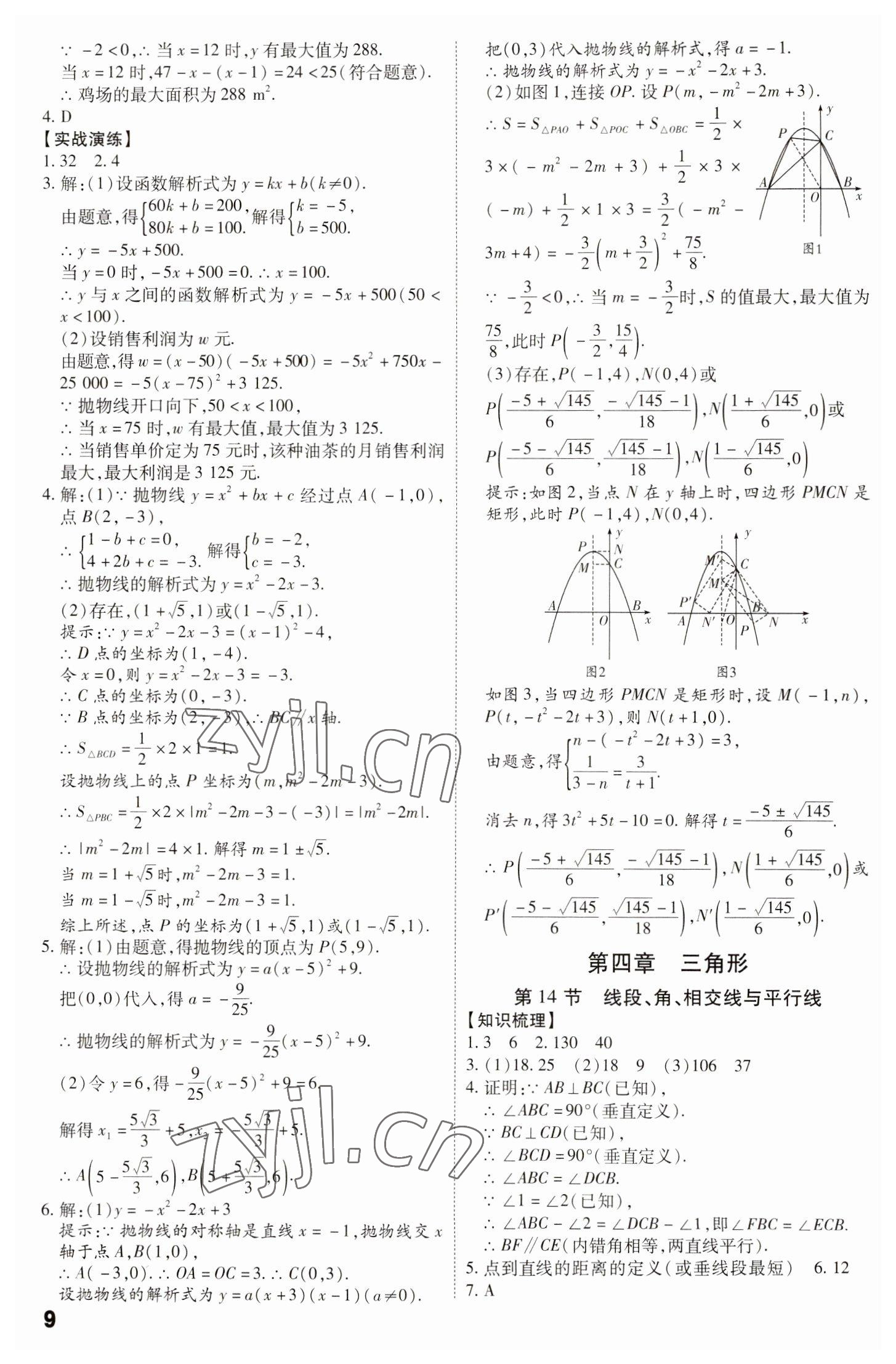 2023年中考冲刺数学广东专版 参考答案第9页