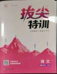 2023年拔尖特訓(xùn)四年級(jí)語(yǔ)文下冊(cè)人教版