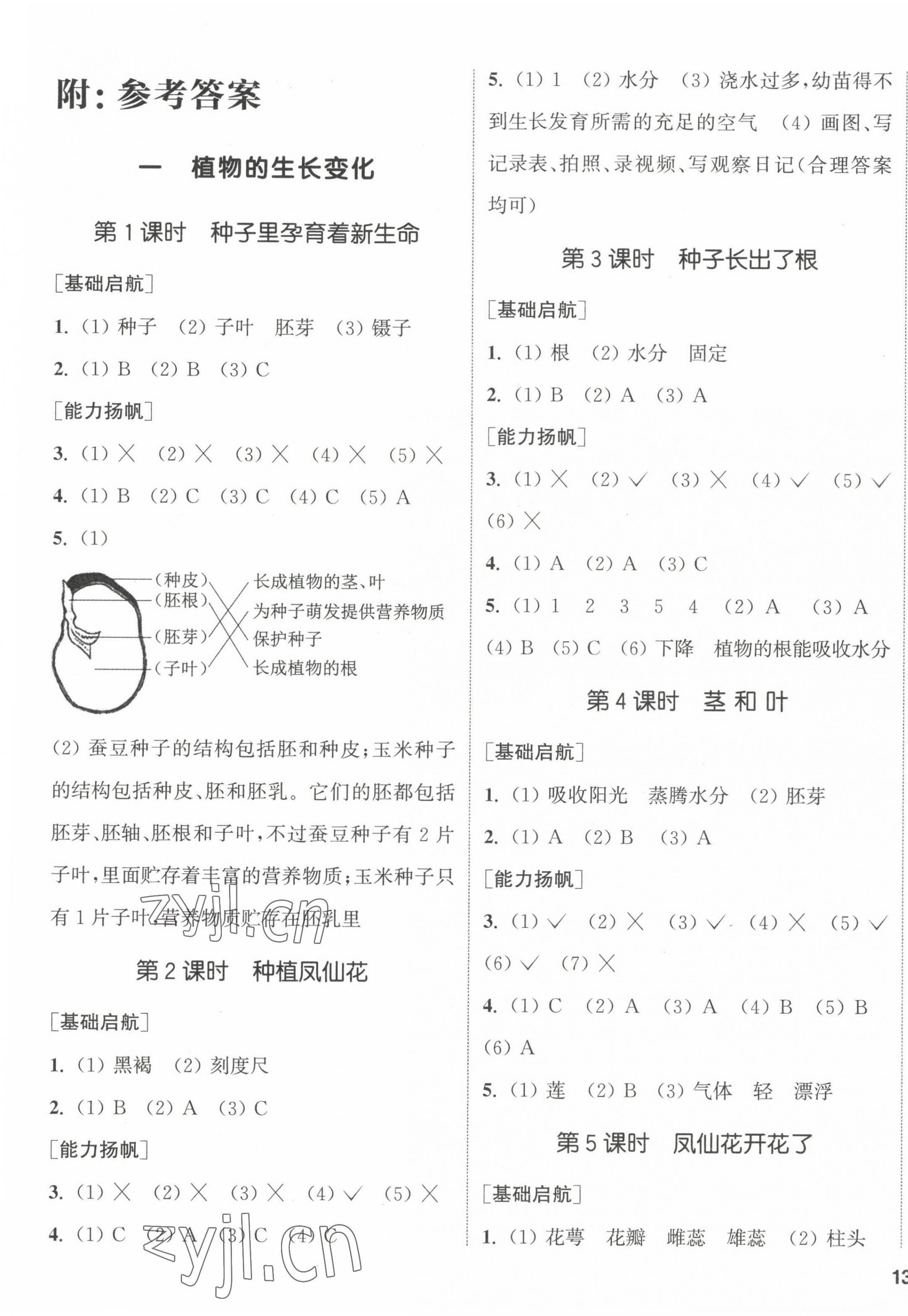 2023年通城學(xué)典課時(shí)作業(yè)本四年級科學(xué)下冊教科版 參考答案第1頁