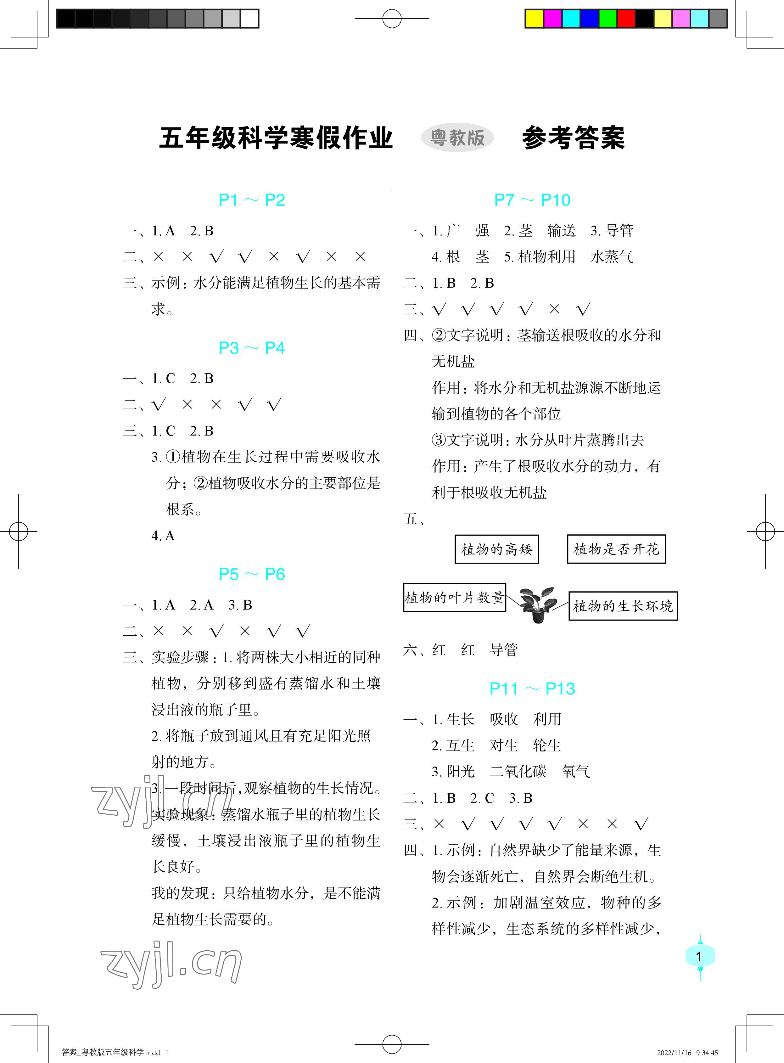 2023年寒假作業(yè)長江少年兒童出版社五年級科學寒假作業(yè)粵教版 參考答案第1頁