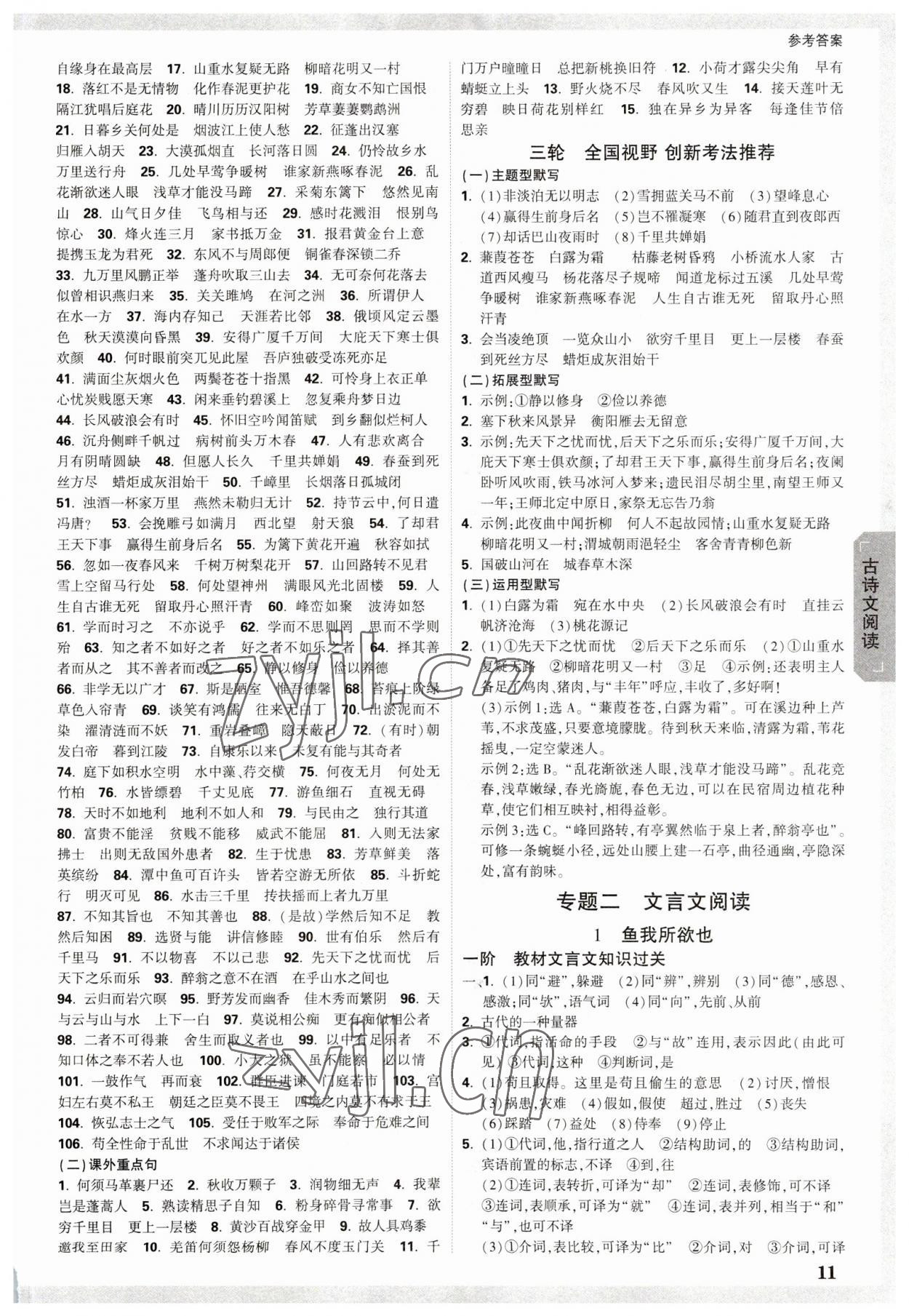 2023年万唯中考试题研究语文中考人教版湖北专版 参考答案第10页