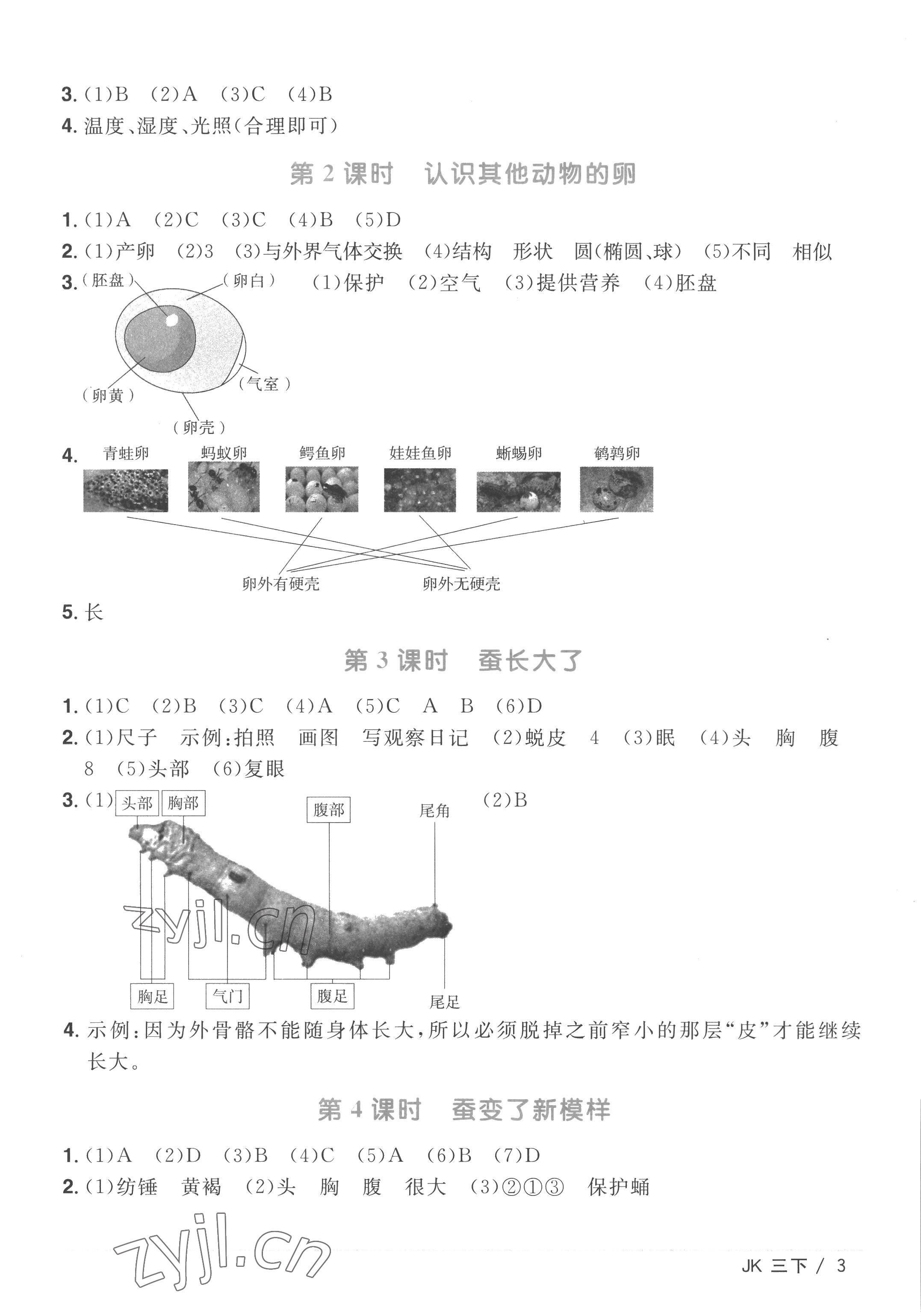 2023年阳光同学课时优化作业三年级科学下册教科版 第3页