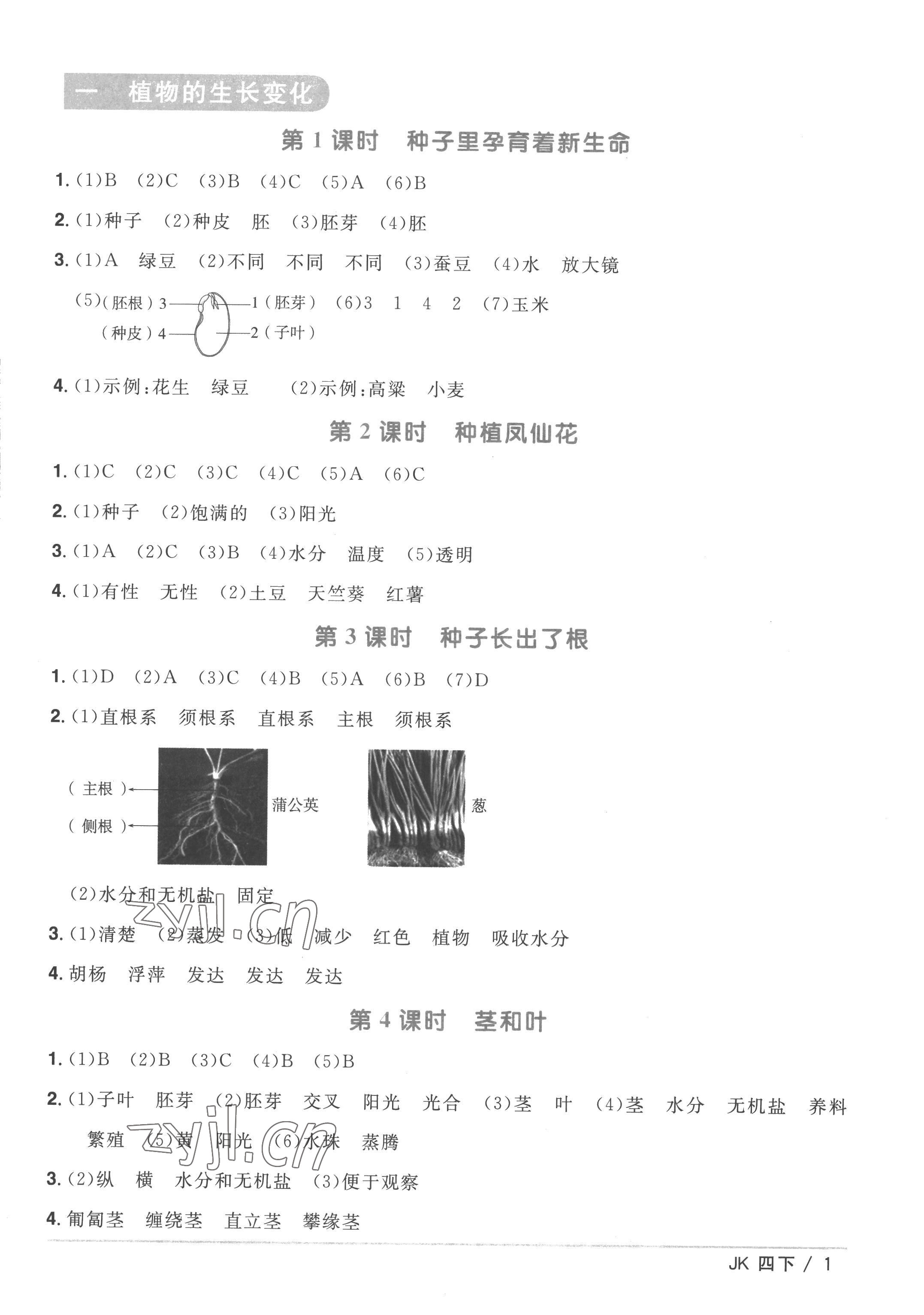 2023年阳光同学课时优化作业四年级科学下册教科版 第1页