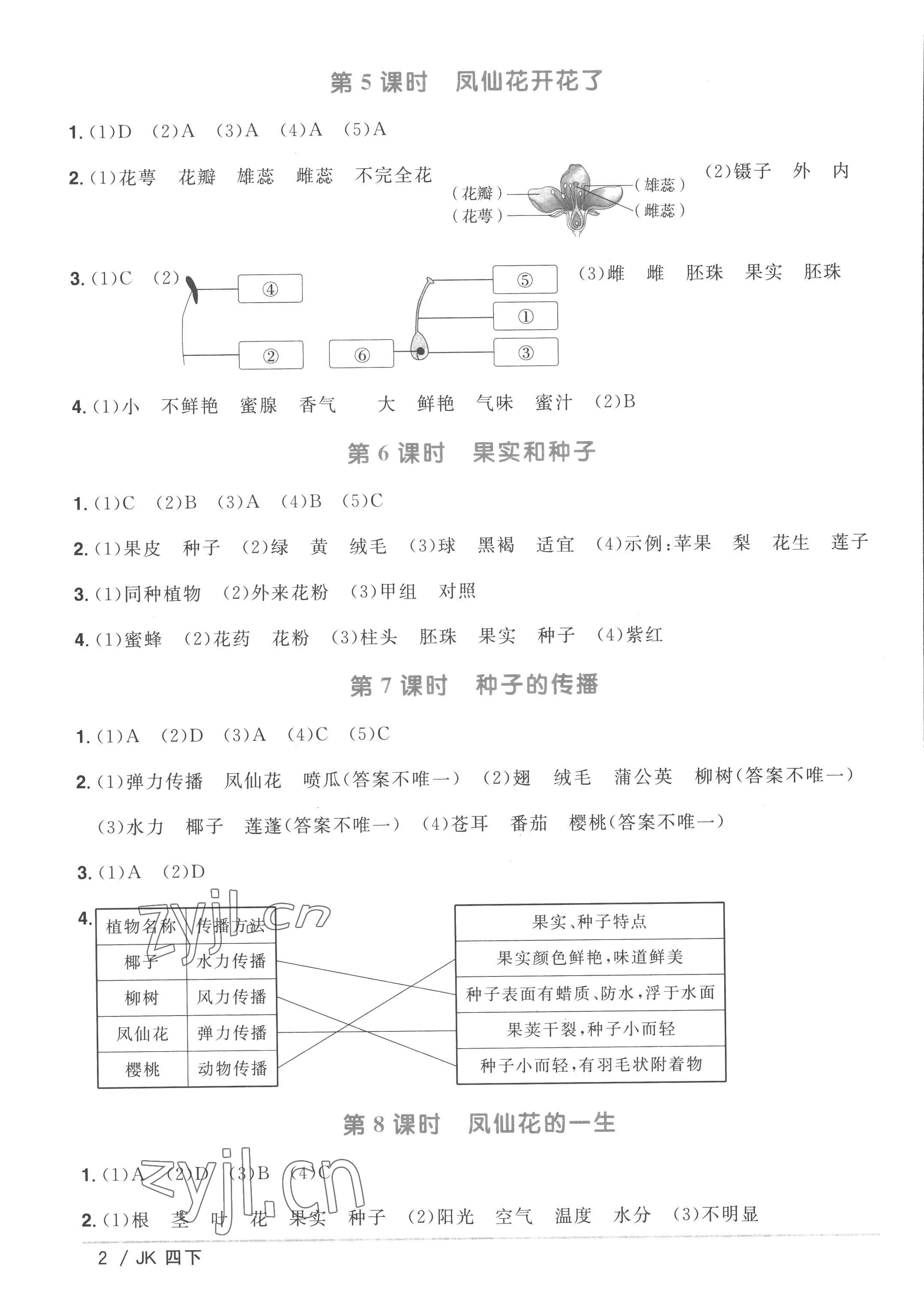 2023年陽(yáng)光同學(xué)課時(shí)優(yōu)化作業(yè)四年級(jí)科學(xué)下冊(cè)教科版 第2頁(yè)