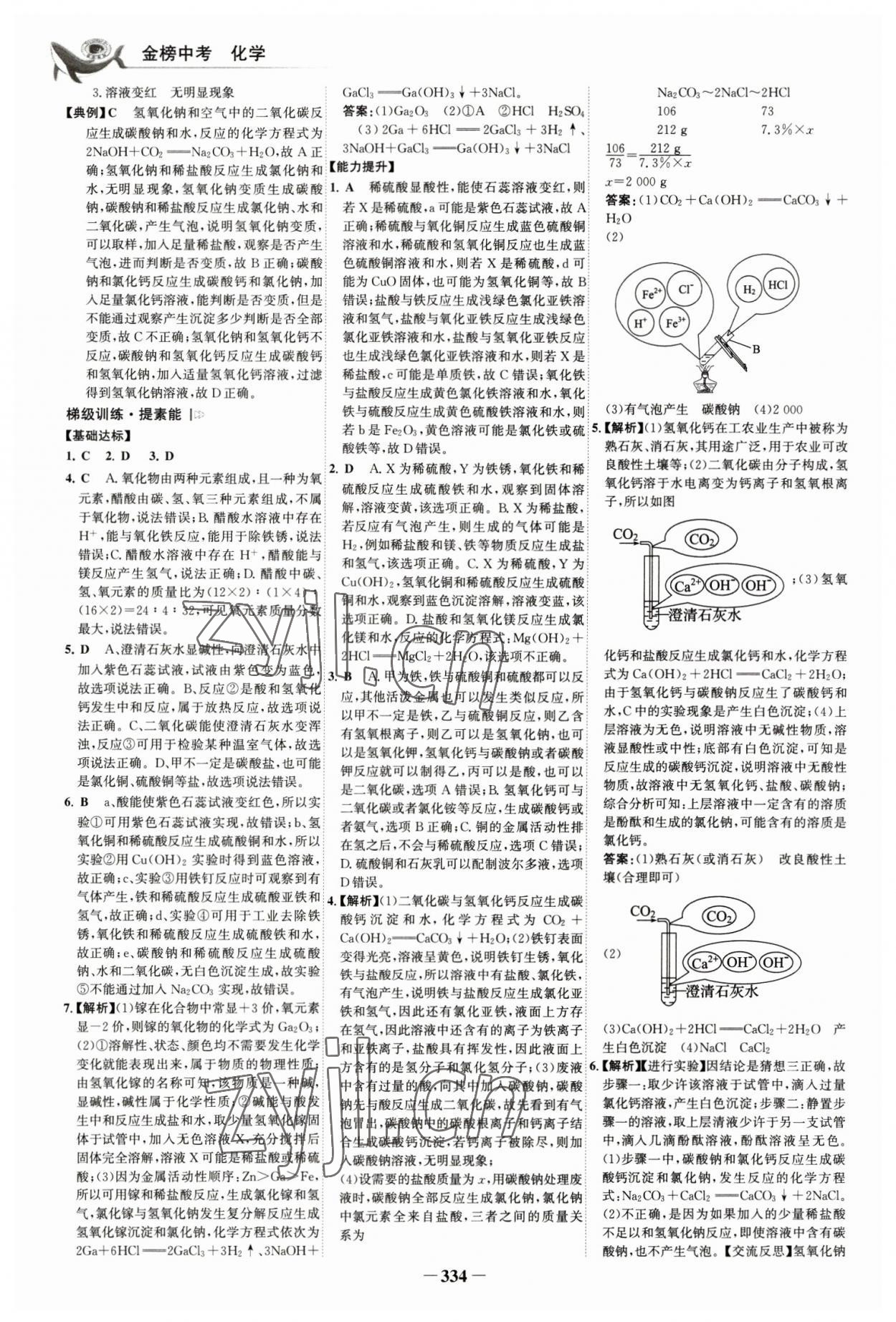 2023年世纪金榜金榜中考化学深圳专版 参考答案第9页