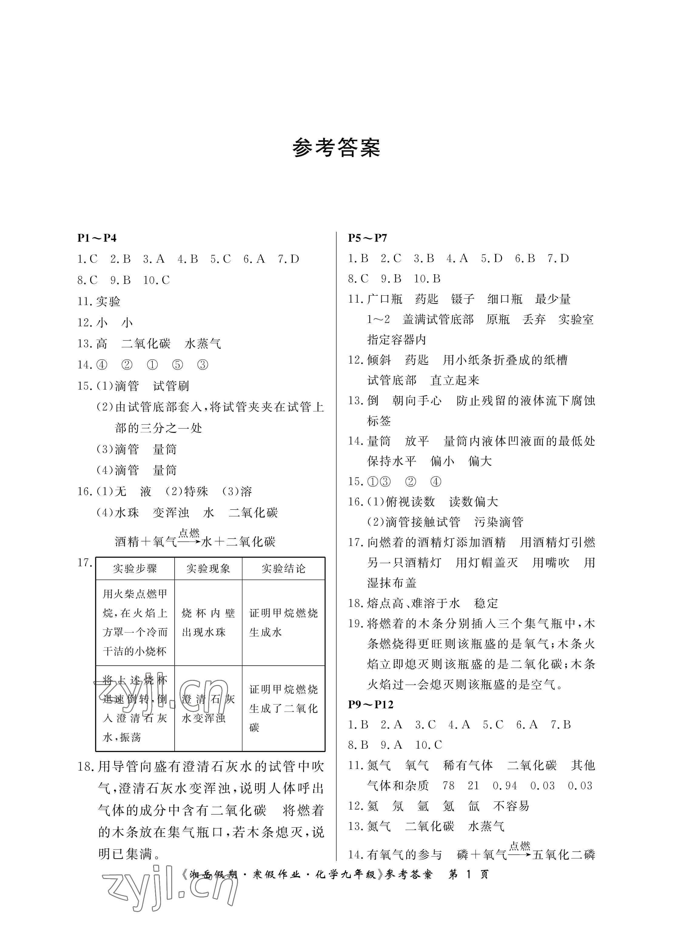 2023年湘岳假期寒假作业九年级化学人教版第二版 参考答案第1页