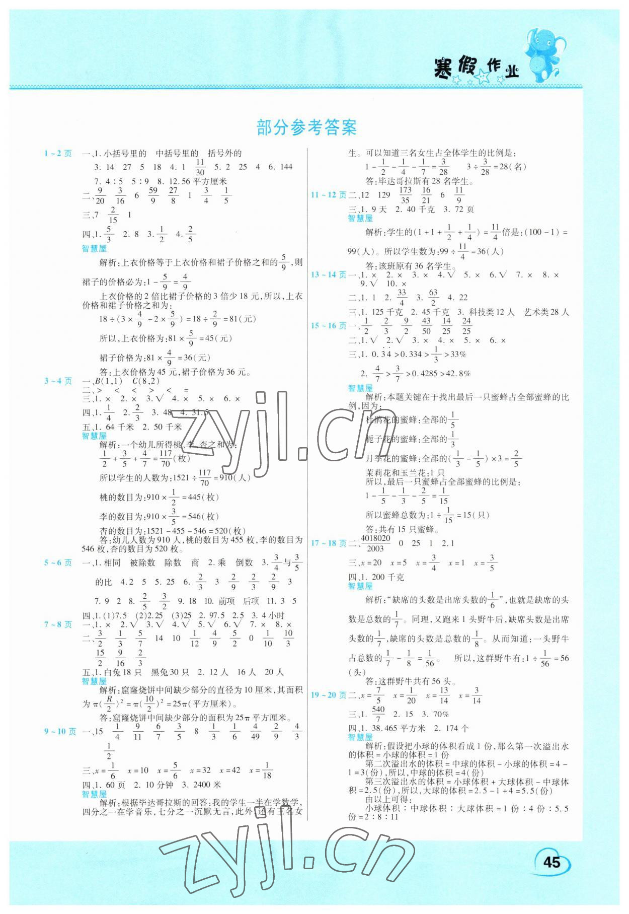 2023年新锐图书假期园地寒假作业六年级数学人教版 第1页