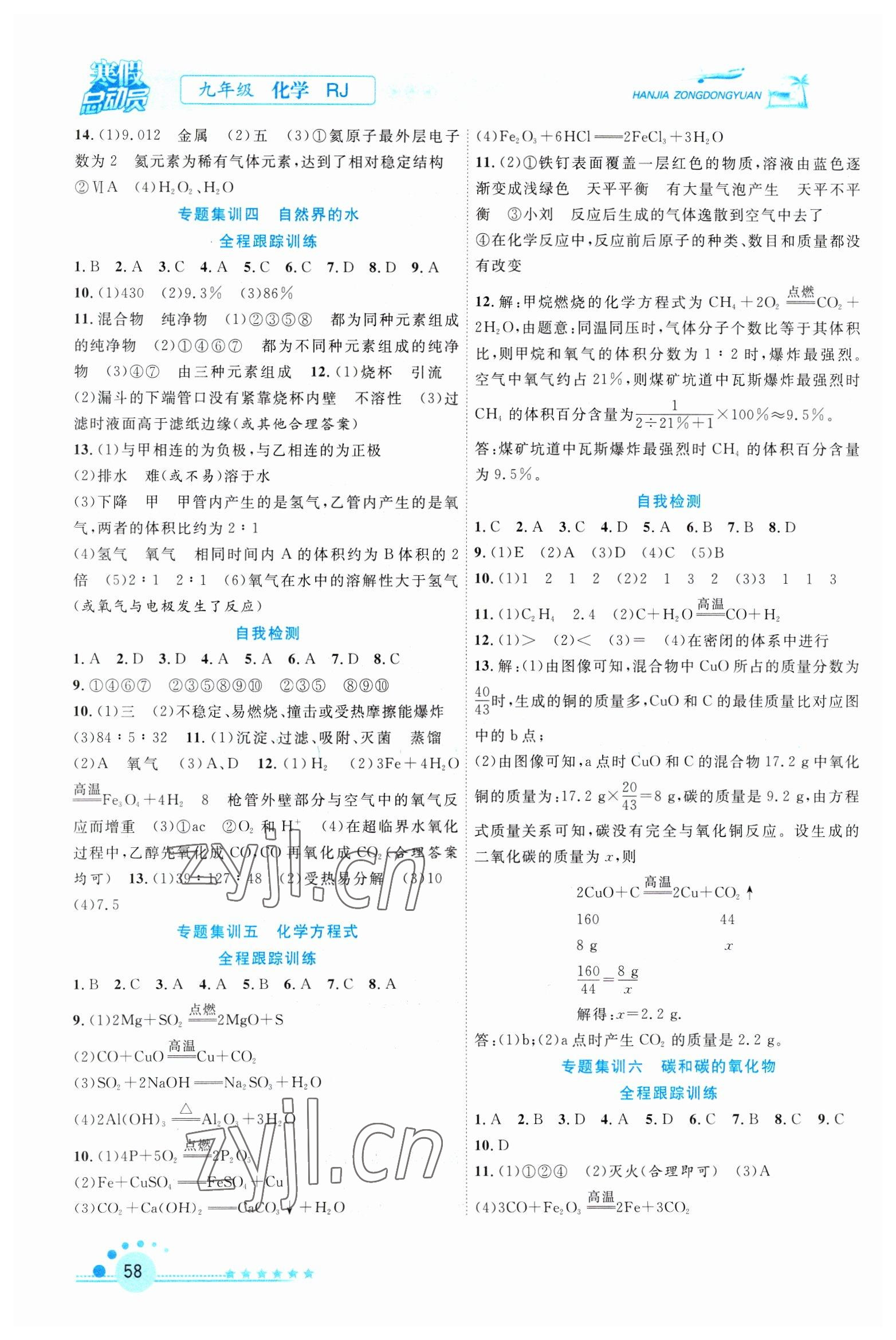 2023年寒假总动员合肥工业大学出版社九年级化学人教版 第2页
