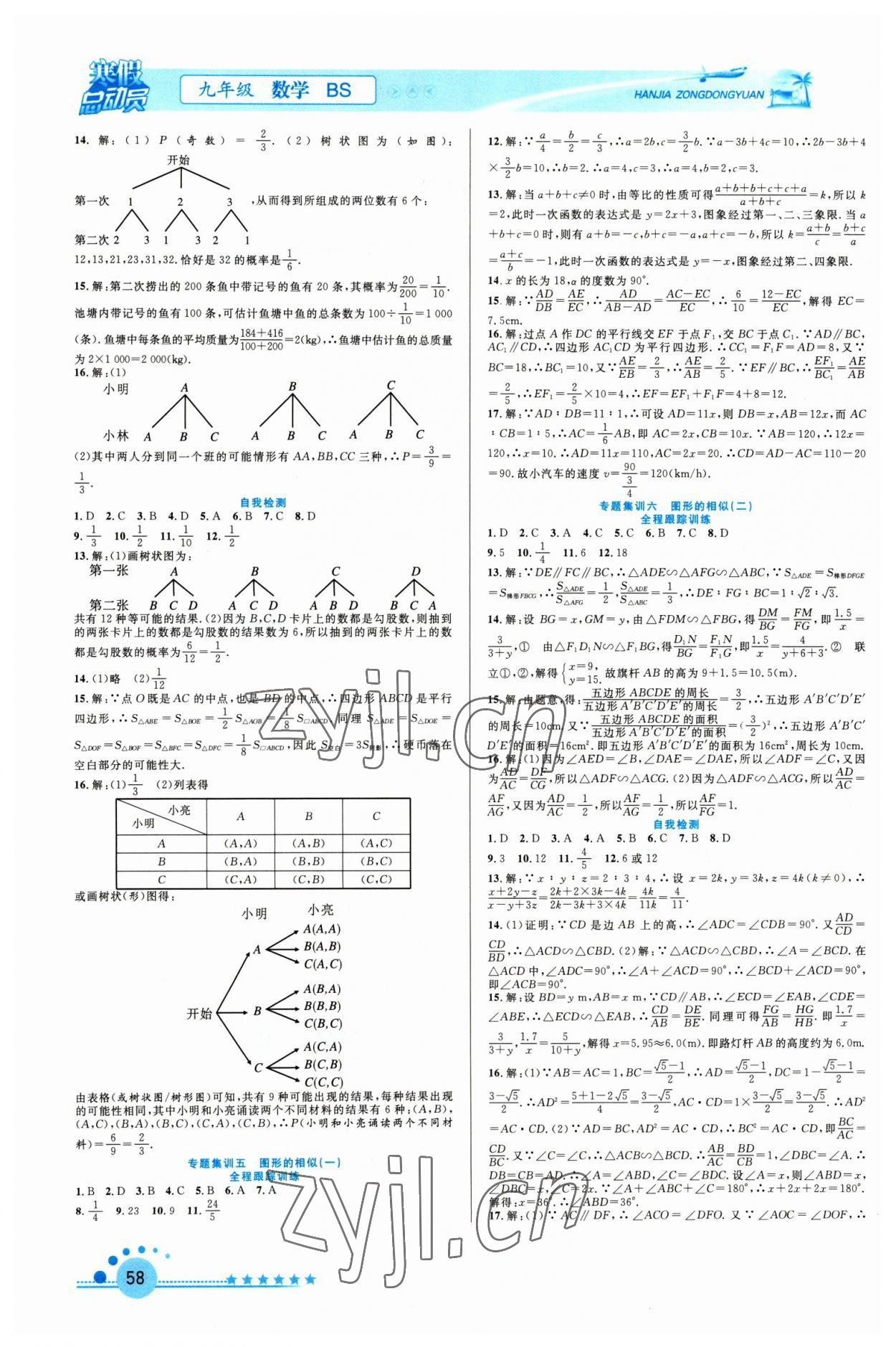 2023年寒假总动员合肥工业大学出版社九年级数学北师大版 第2页
