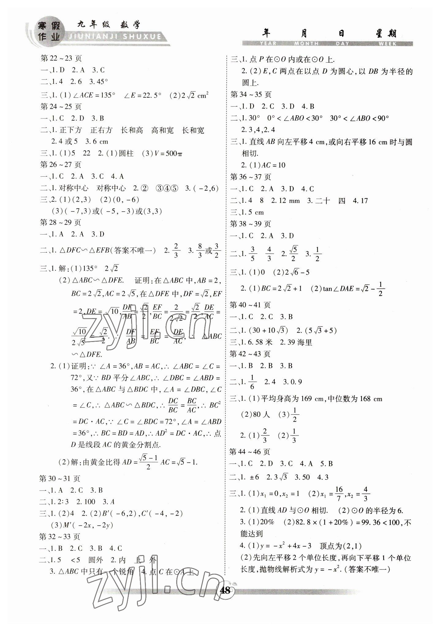 2023年智趣寒假作业九年级数学人教版 第2页