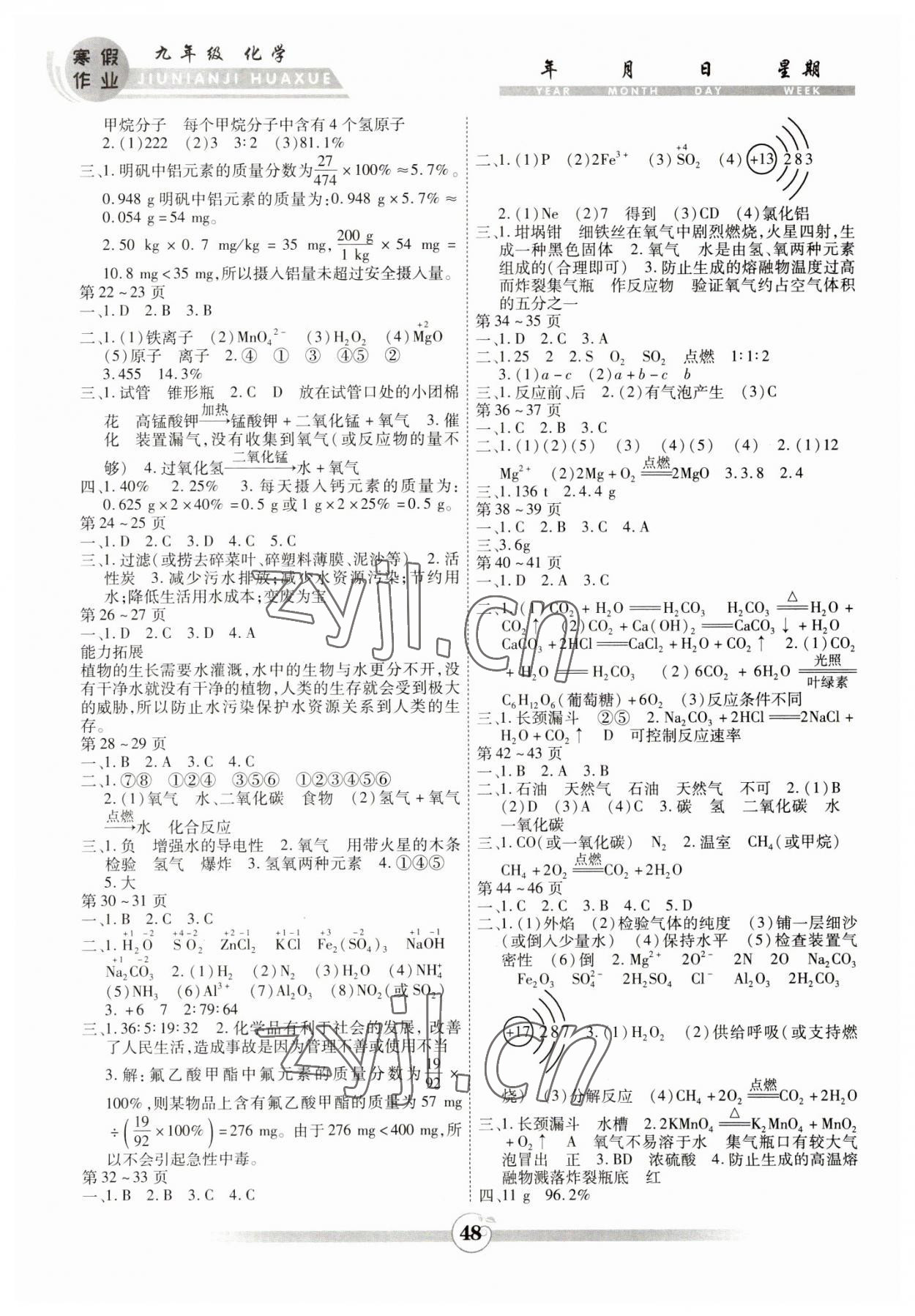 2023年智趣寒假作业云南科技出版社九年级化学人教版 第2页