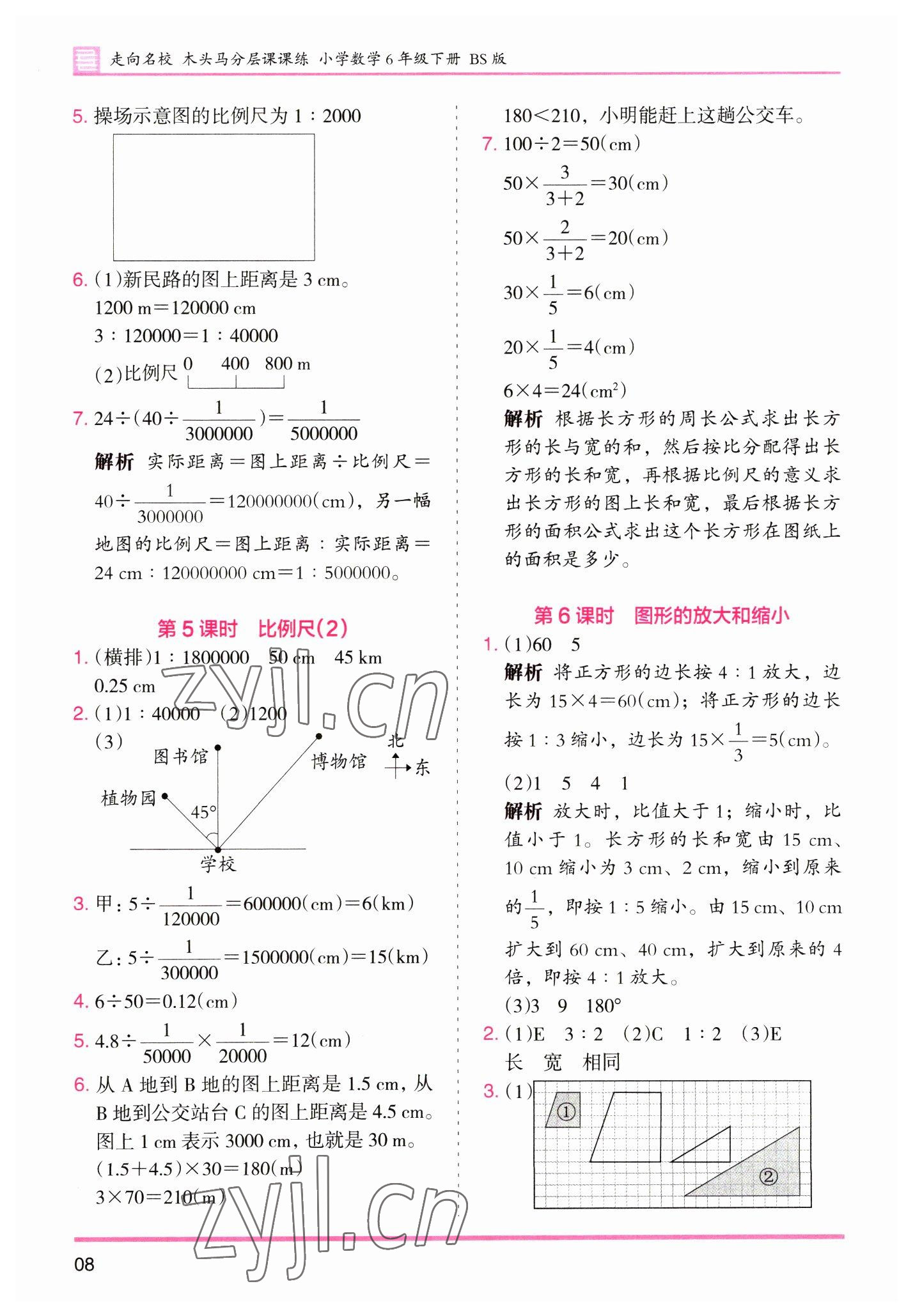 2023年木頭馬分層課課練六年級數(shù)學下冊北師大版福建專版 第8頁