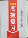 2023年高效復(fù)習(xí)新疆語文