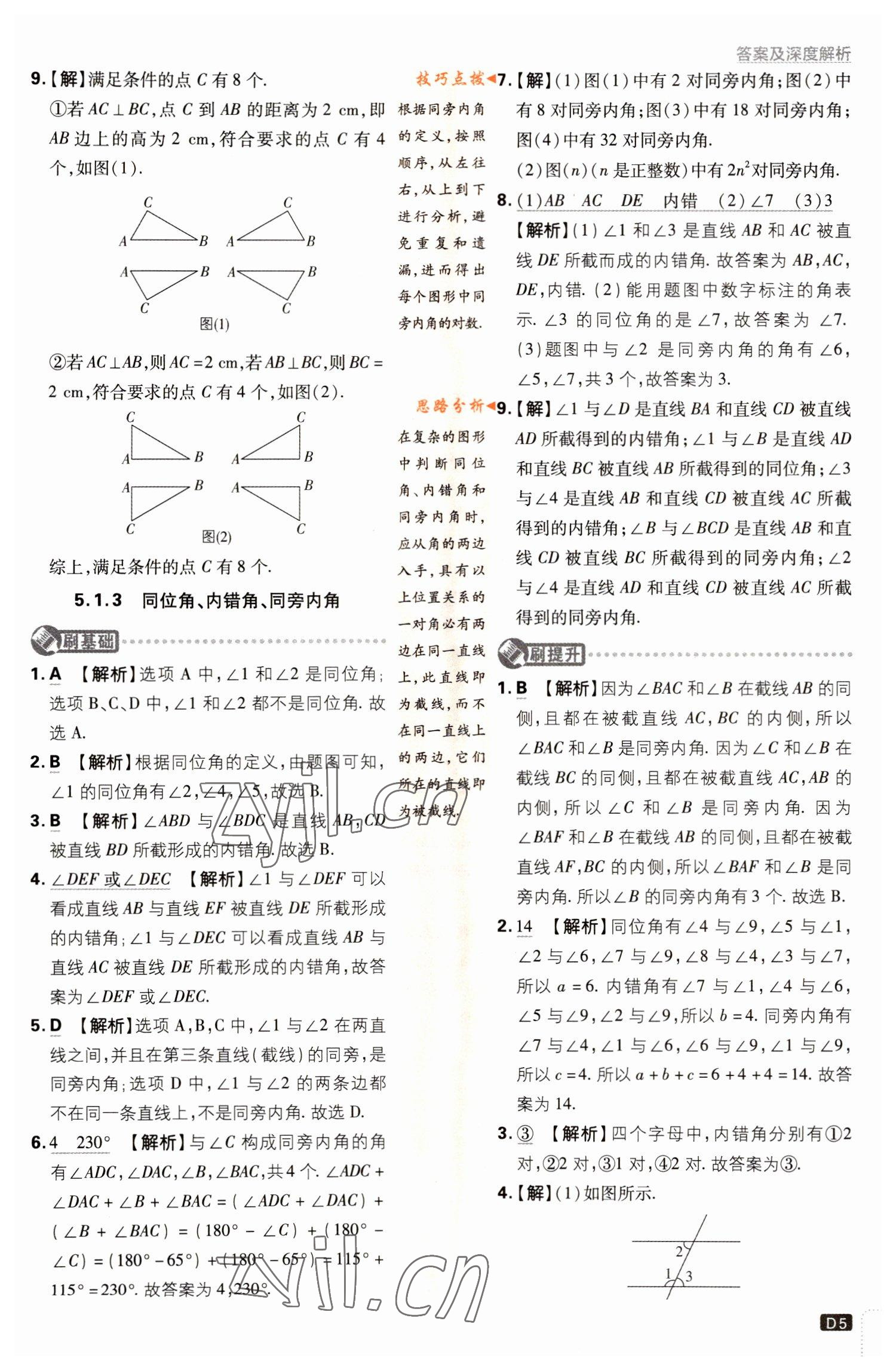 2023年初中必刷题七年级数学下册人教版 参考答案第5页