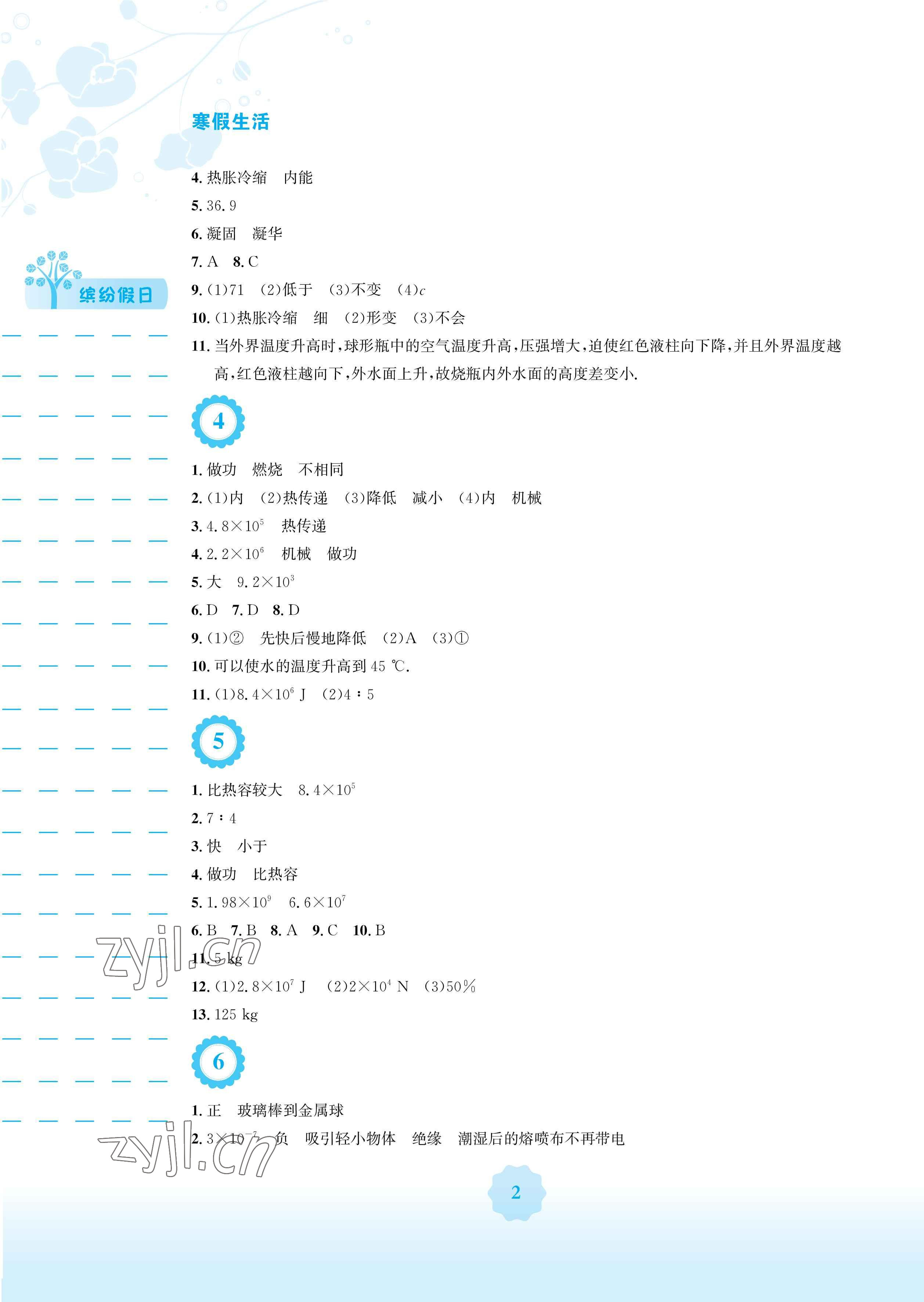 2023年寒假生活九年级物理沪科版安徽教育出版社 参考答案第2页