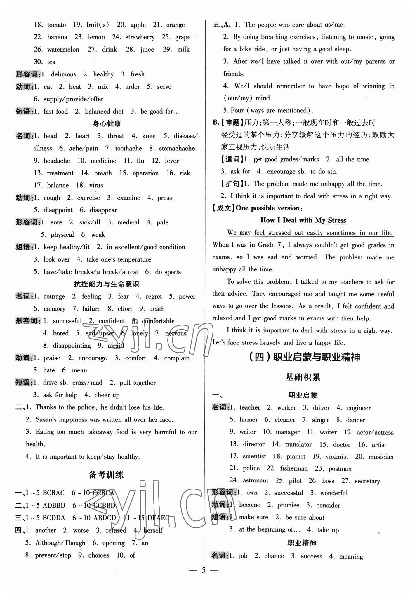 2023年領(lǐng)跑中考英語中考廣東專版 第5頁