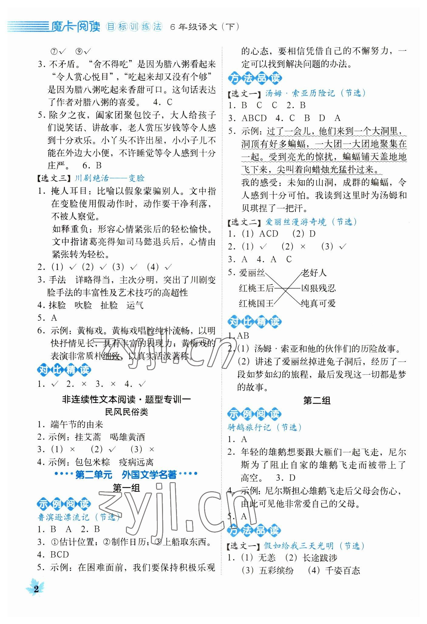 2023年魔卡閱讀目標訓(xùn)練法六年級語文下冊人教版 參考答案第2頁