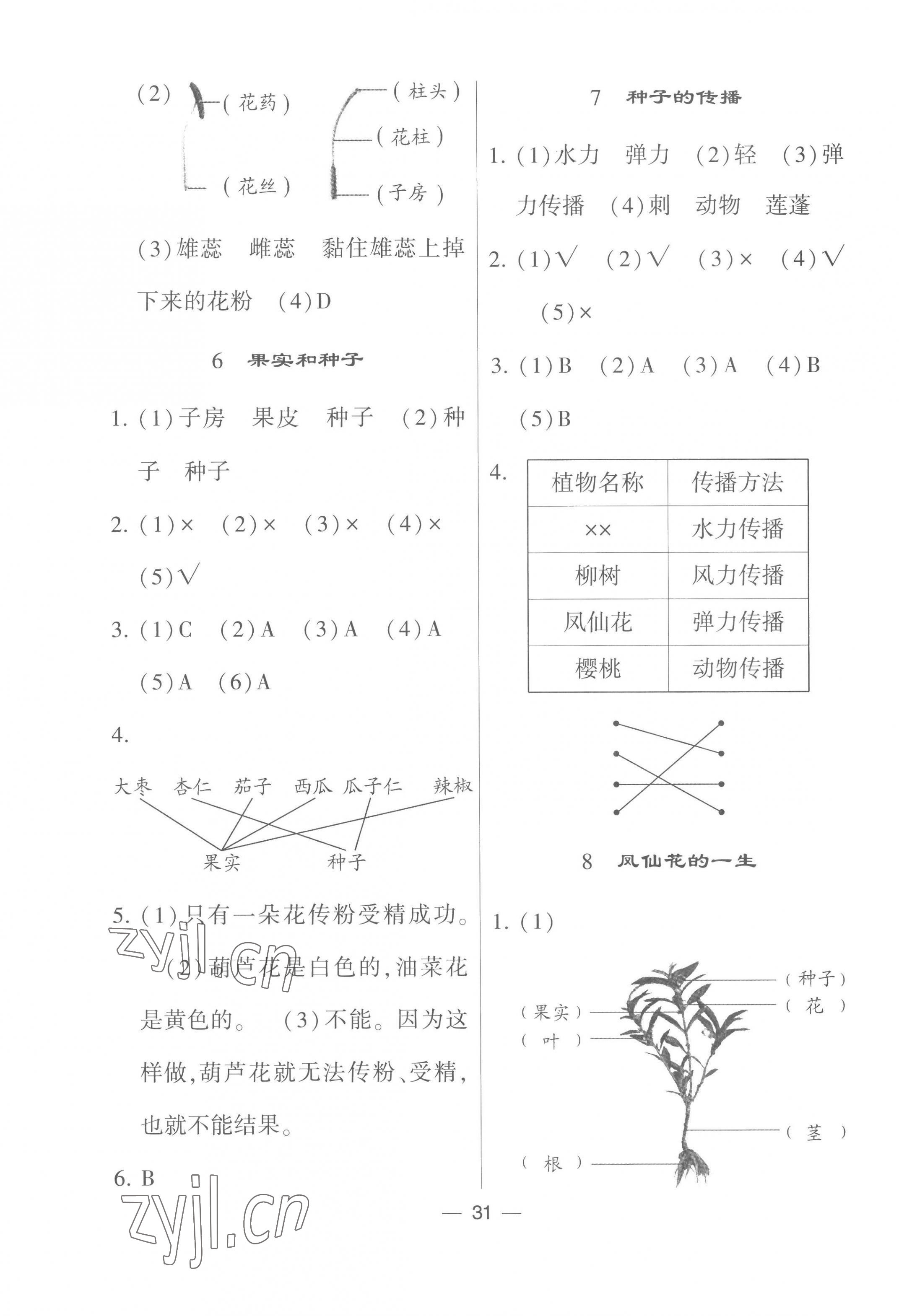 2023年經(jīng)綸學(xué)典棒棒堂四年級科學(xué)下冊教科版 第3頁