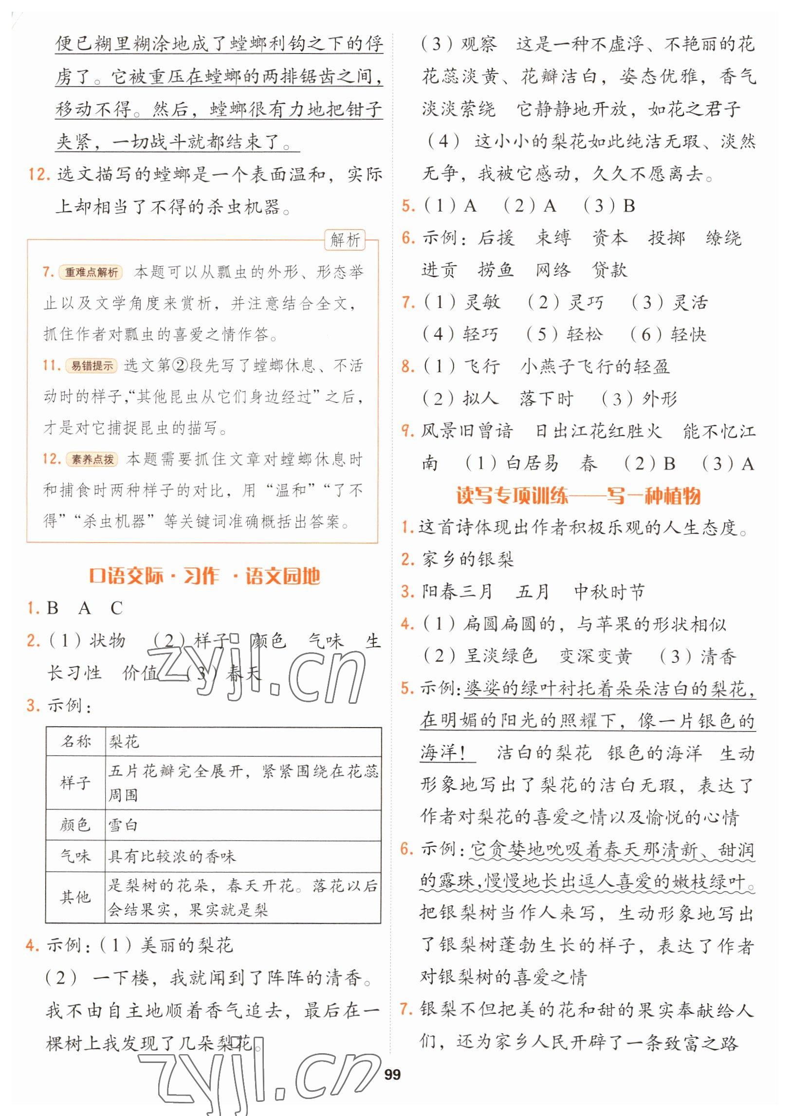 2023年課課幫三年級語文下冊人教版大連專版 第3頁
