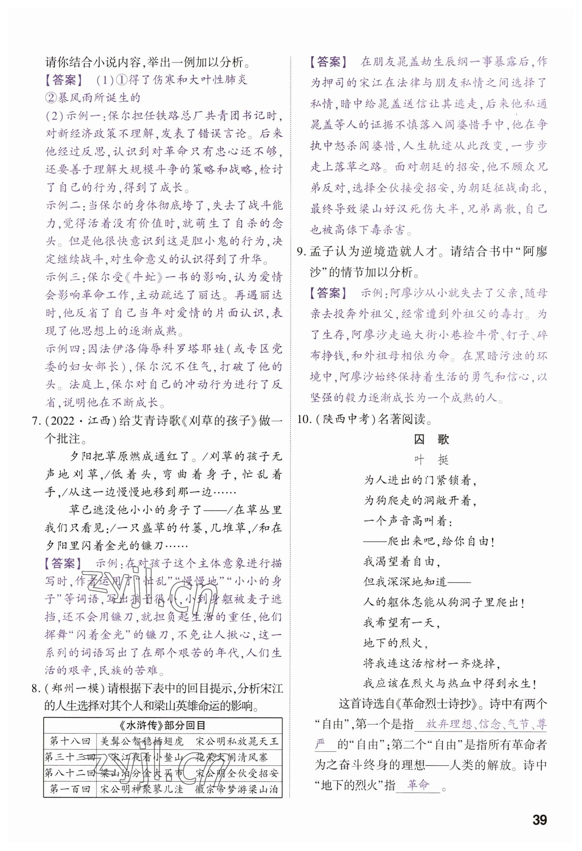 2023年鼎成中考精准提分语文河南专版 参考答案第43页