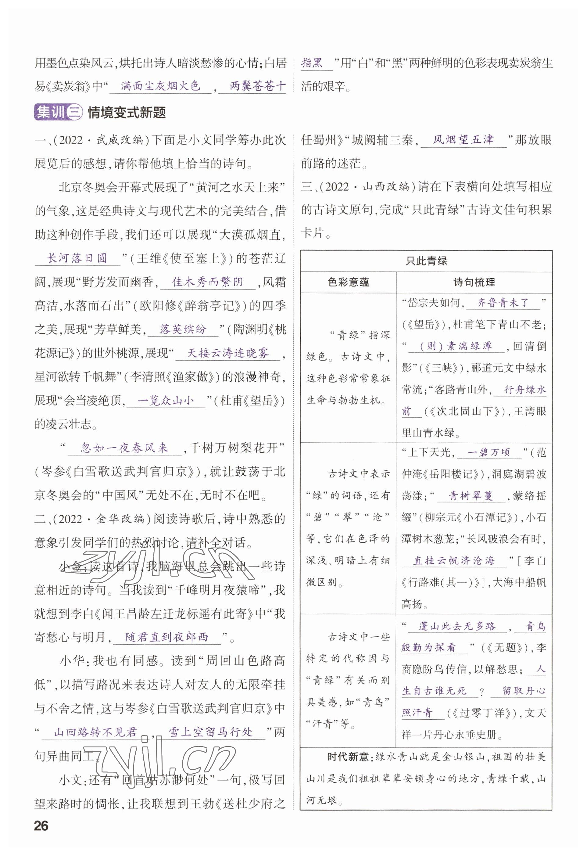 2023年鼎成中考精准提分语文河南专版 参考答案第30页