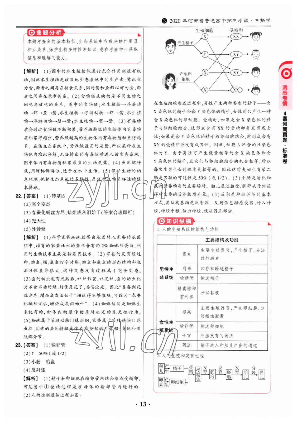 2023年鼎成中考河南真題生物 第13頁