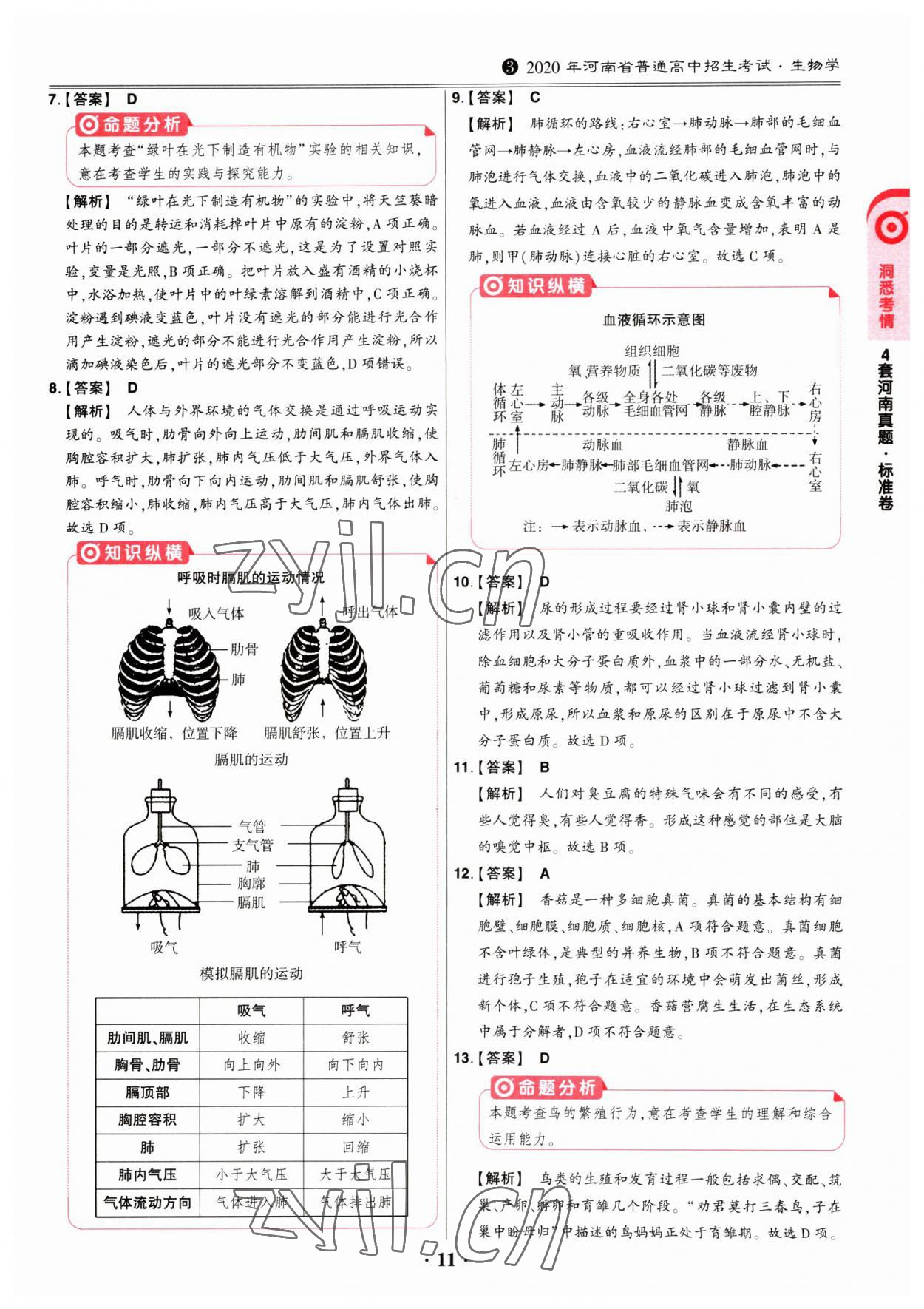 2023年鼎成中考河南真題生物 第11頁(yè)