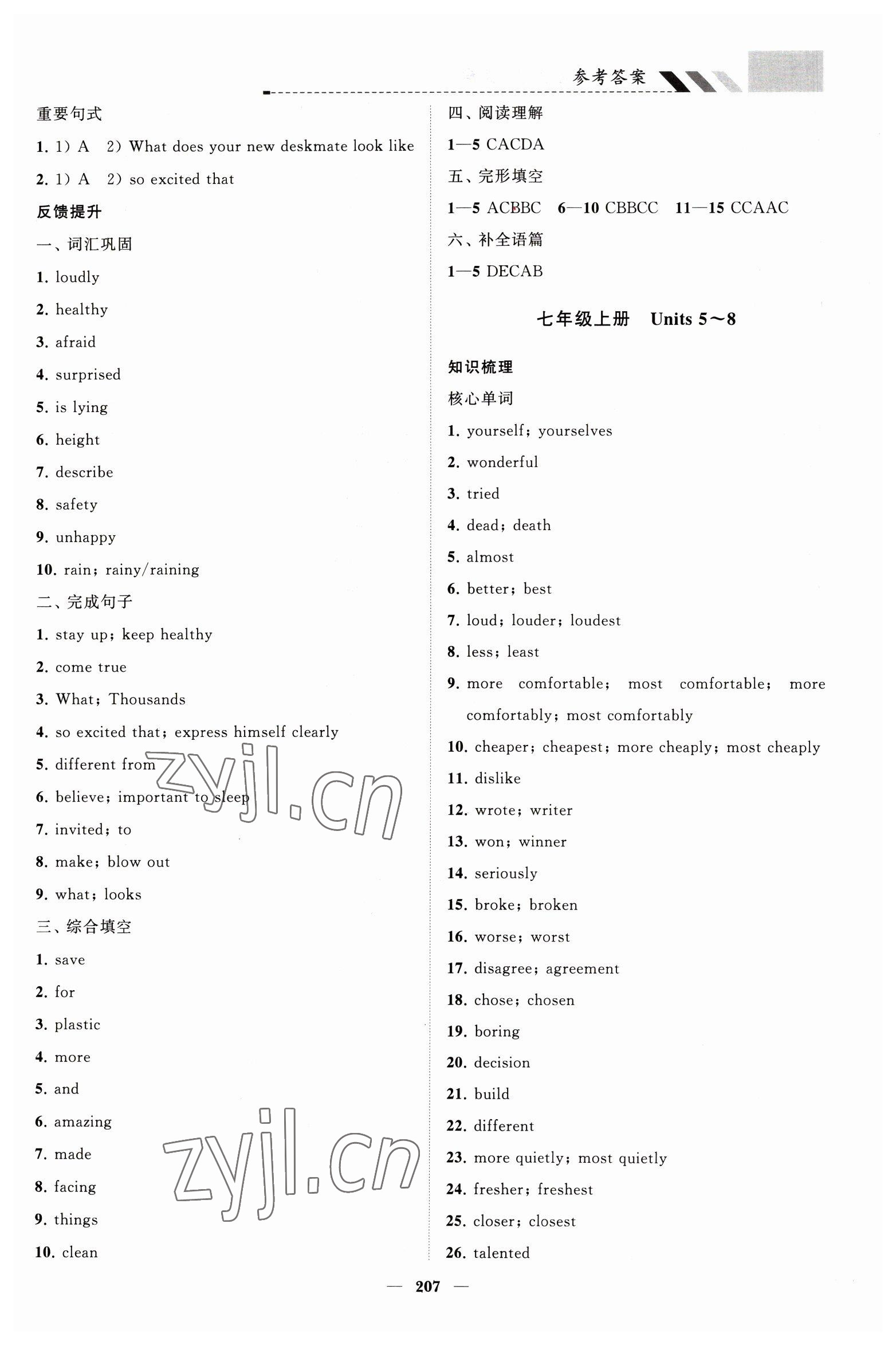 2023年初中總復習手冊山東教育出版社英語 第7頁