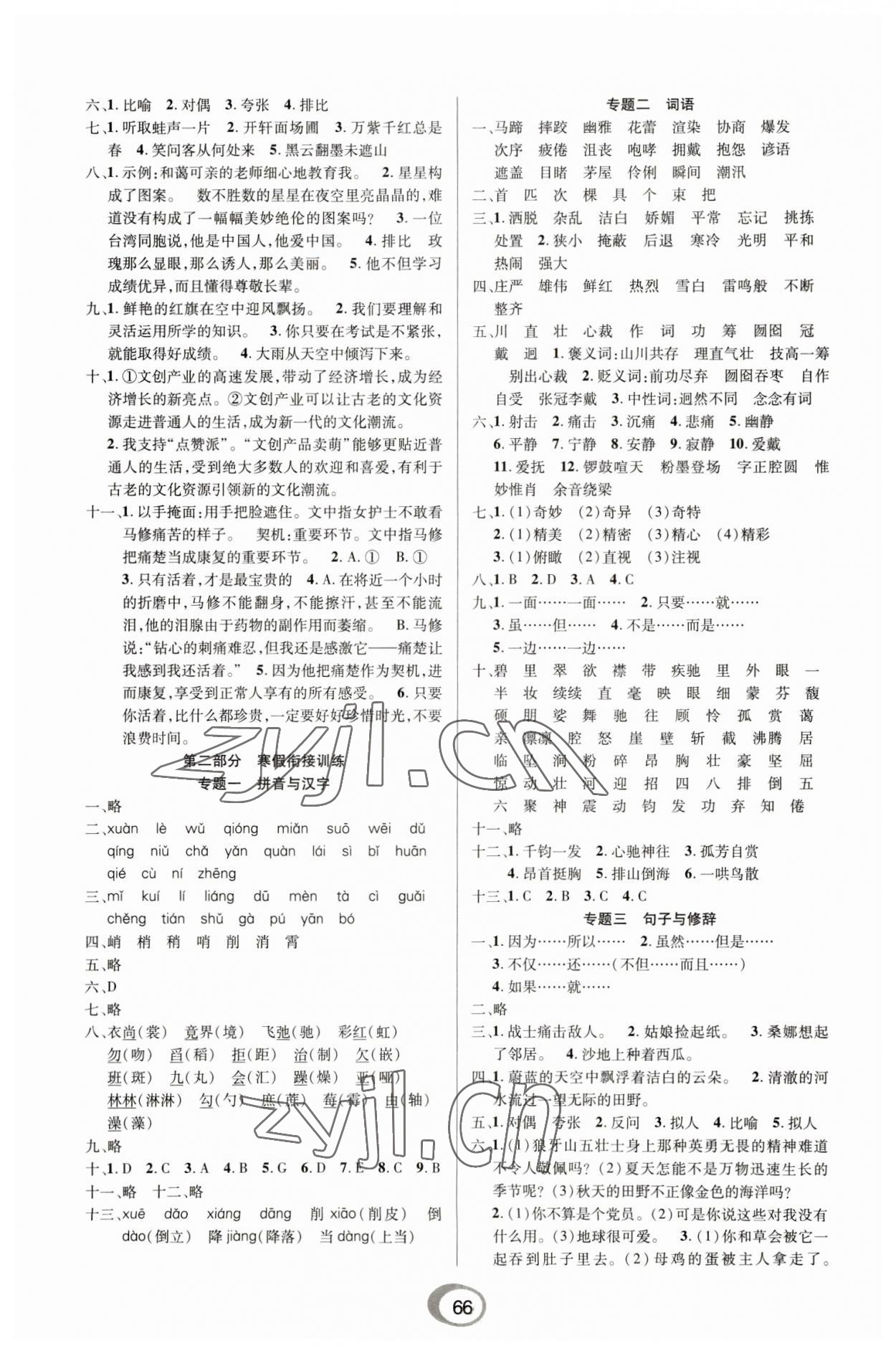 2023年快乐假期衔接优化训练六年级语文 第2页