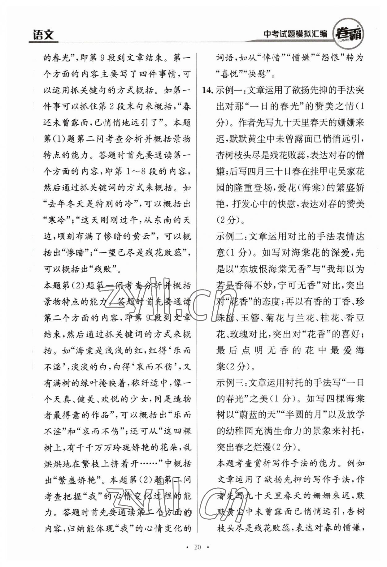 2023年卷霸中考試題模擬匯編語(yǔ)文江西專版 第20頁(yè)