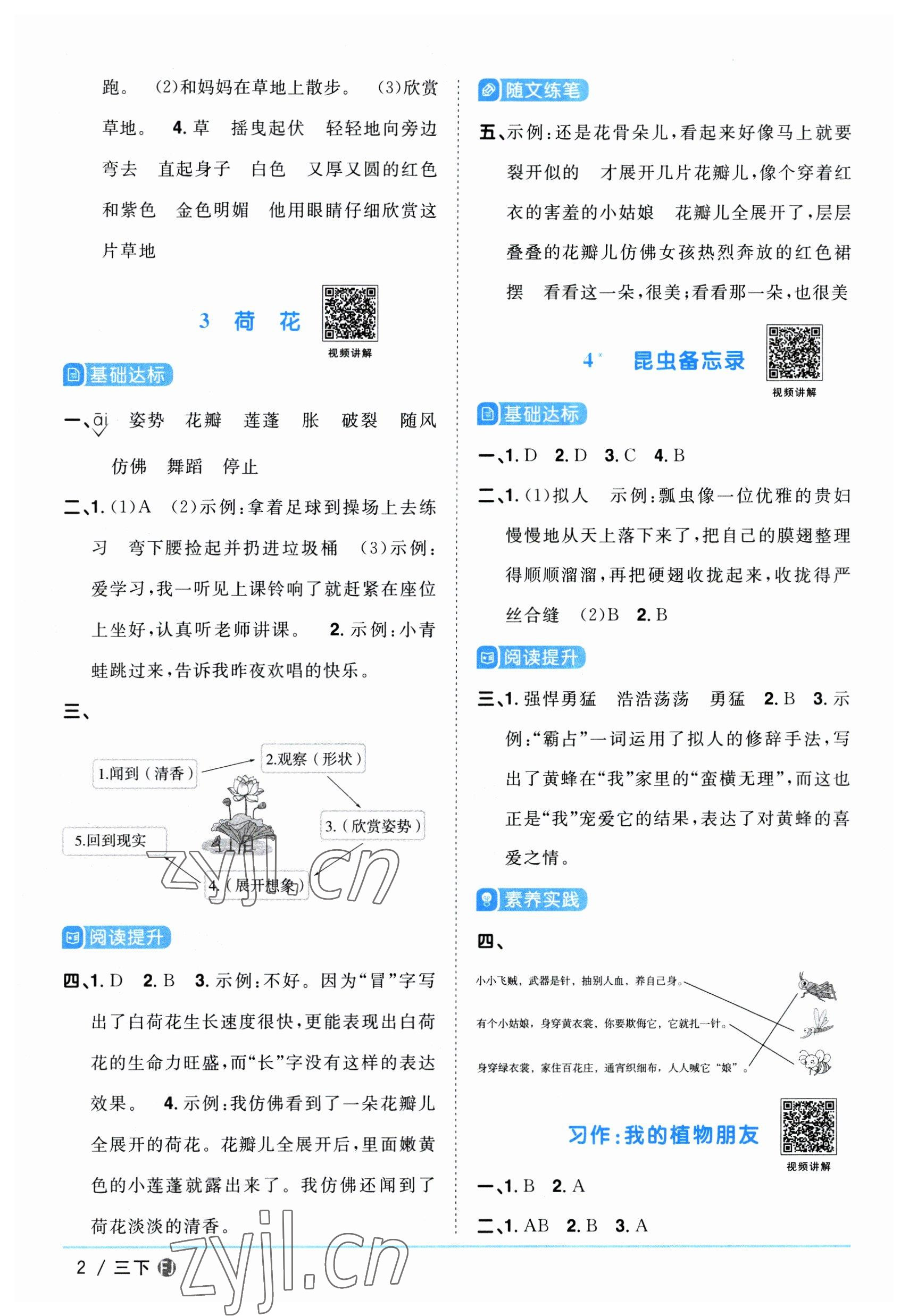 2023年陽光同學(xué)課時(shí)優(yōu)化作業(yè)三年級(jí)語文下冊(cè)人教版福建專版 參考答案第2頁