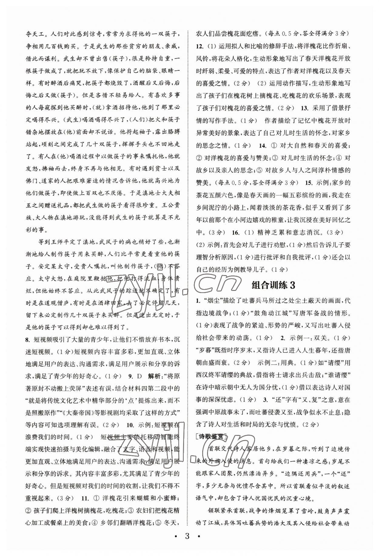 2023年通城學(xué)典組合訓(xùn)練八年級語文下冊人教版蘇州專版 第3頁